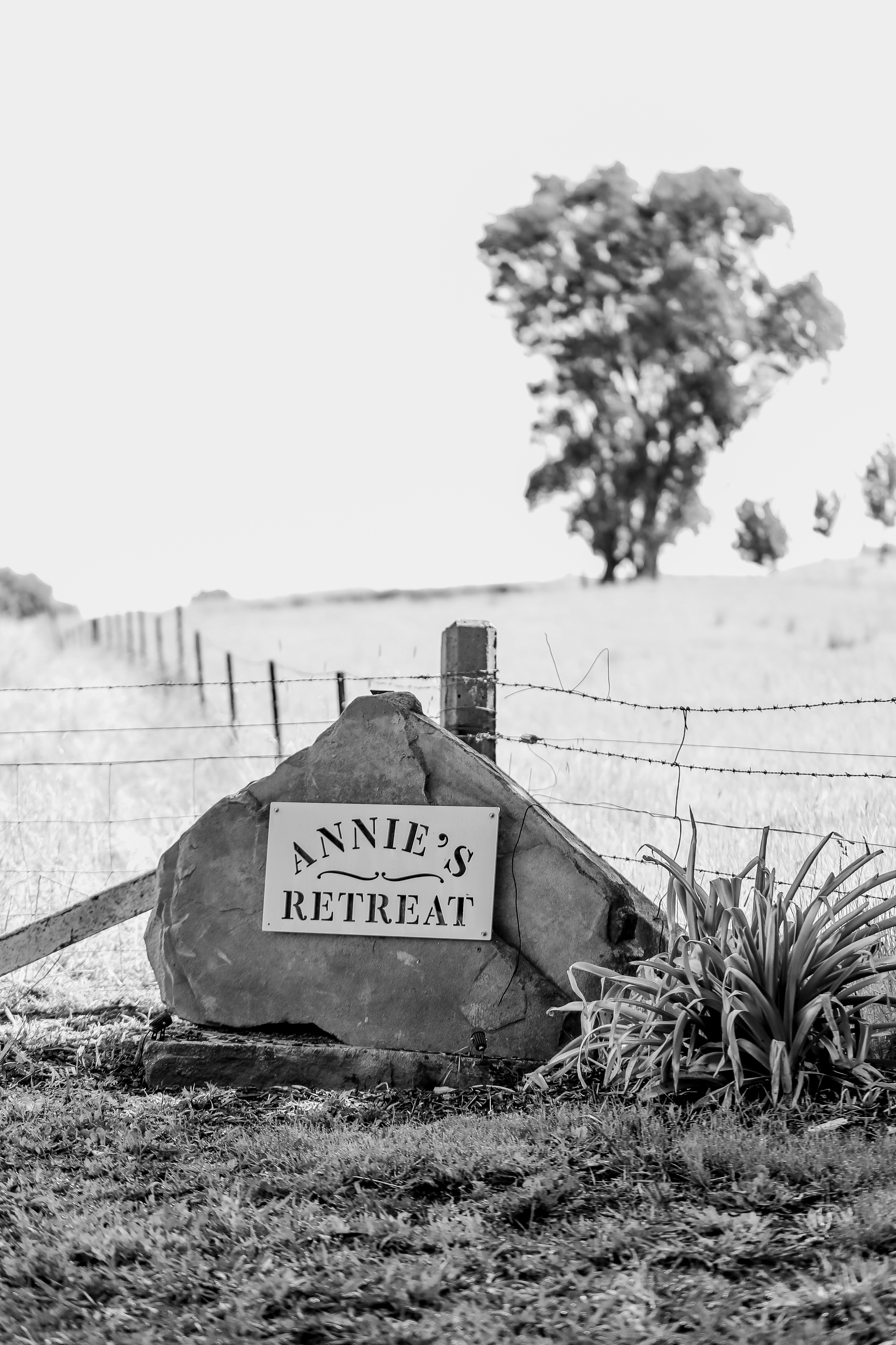 Annies Retreat-2483902