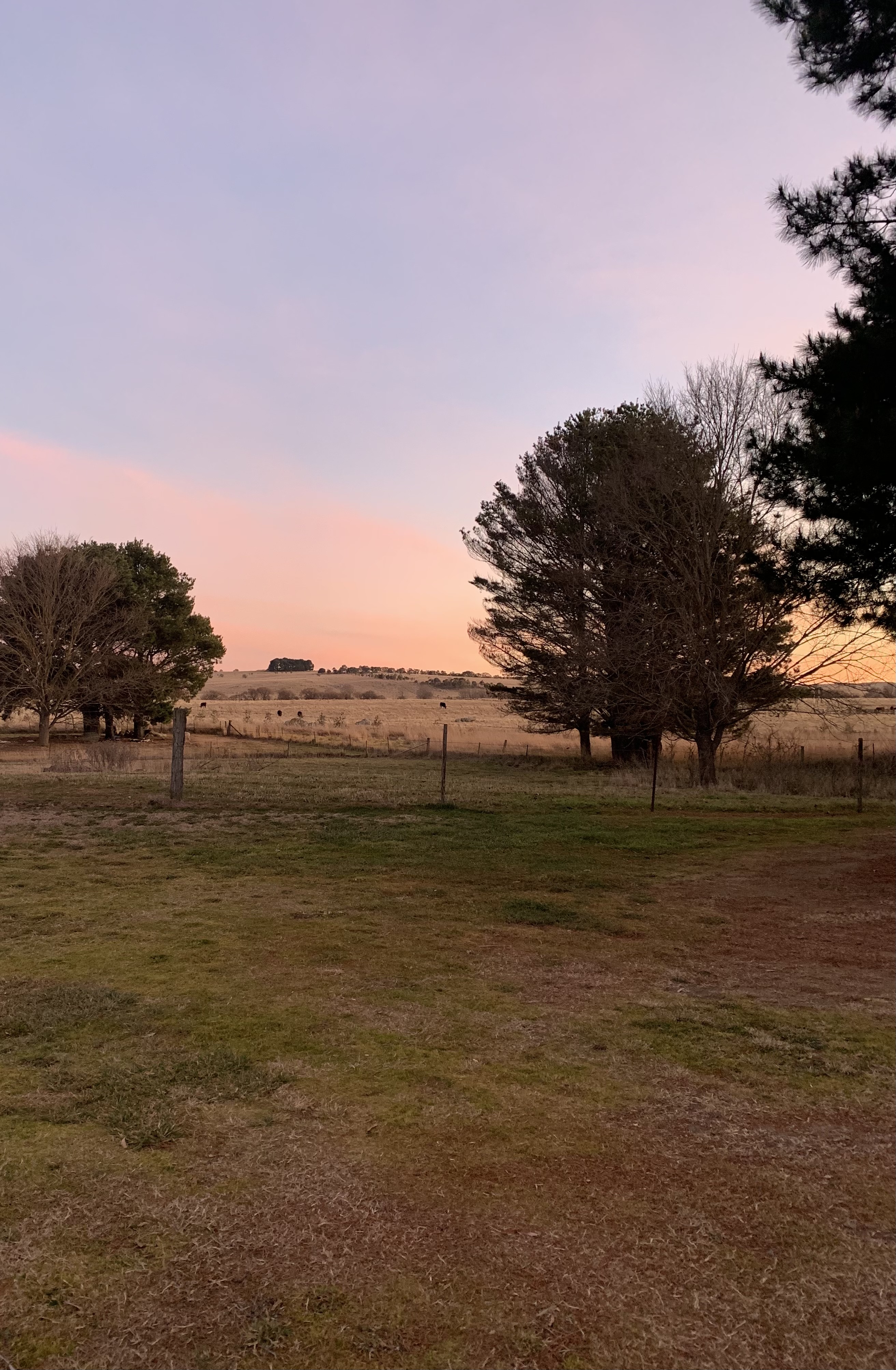 Garanvale Woolshed-2311394