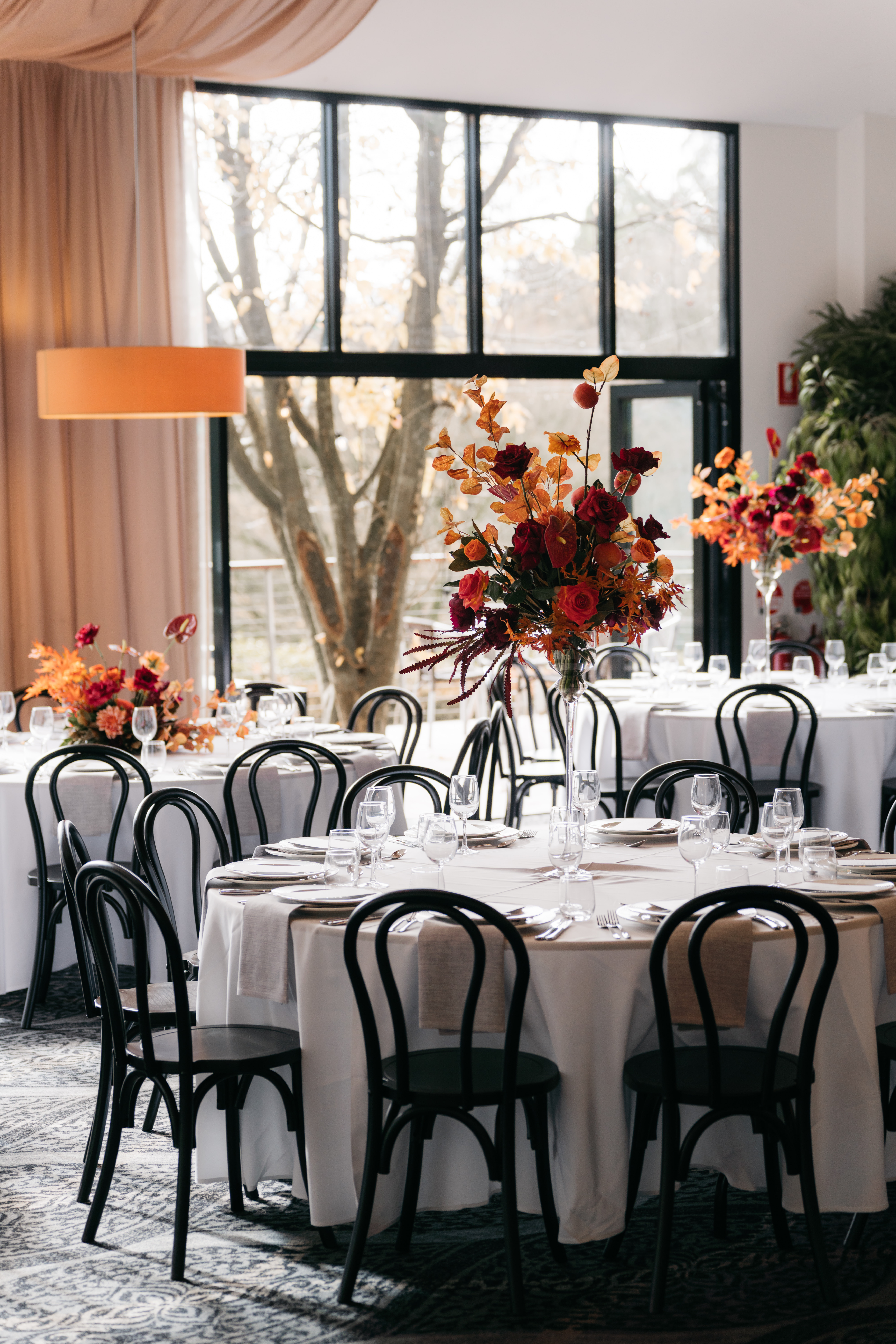 Mist @ Olinda-2465716