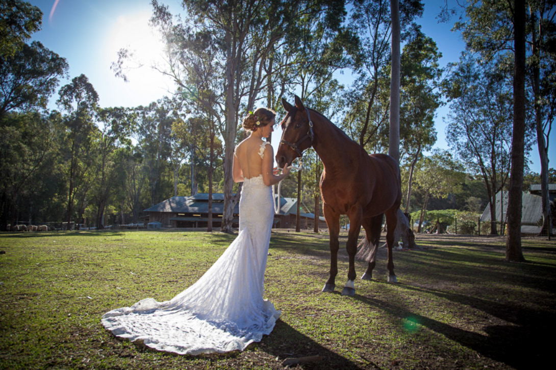 Paradise Country-2417598