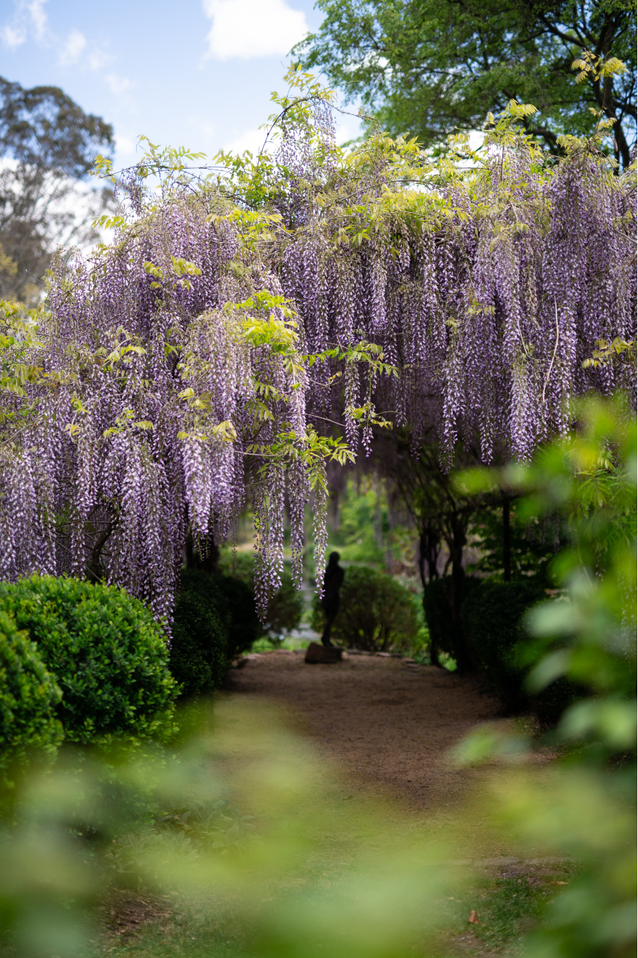 Breathe Glenrock Gardens-2512511
