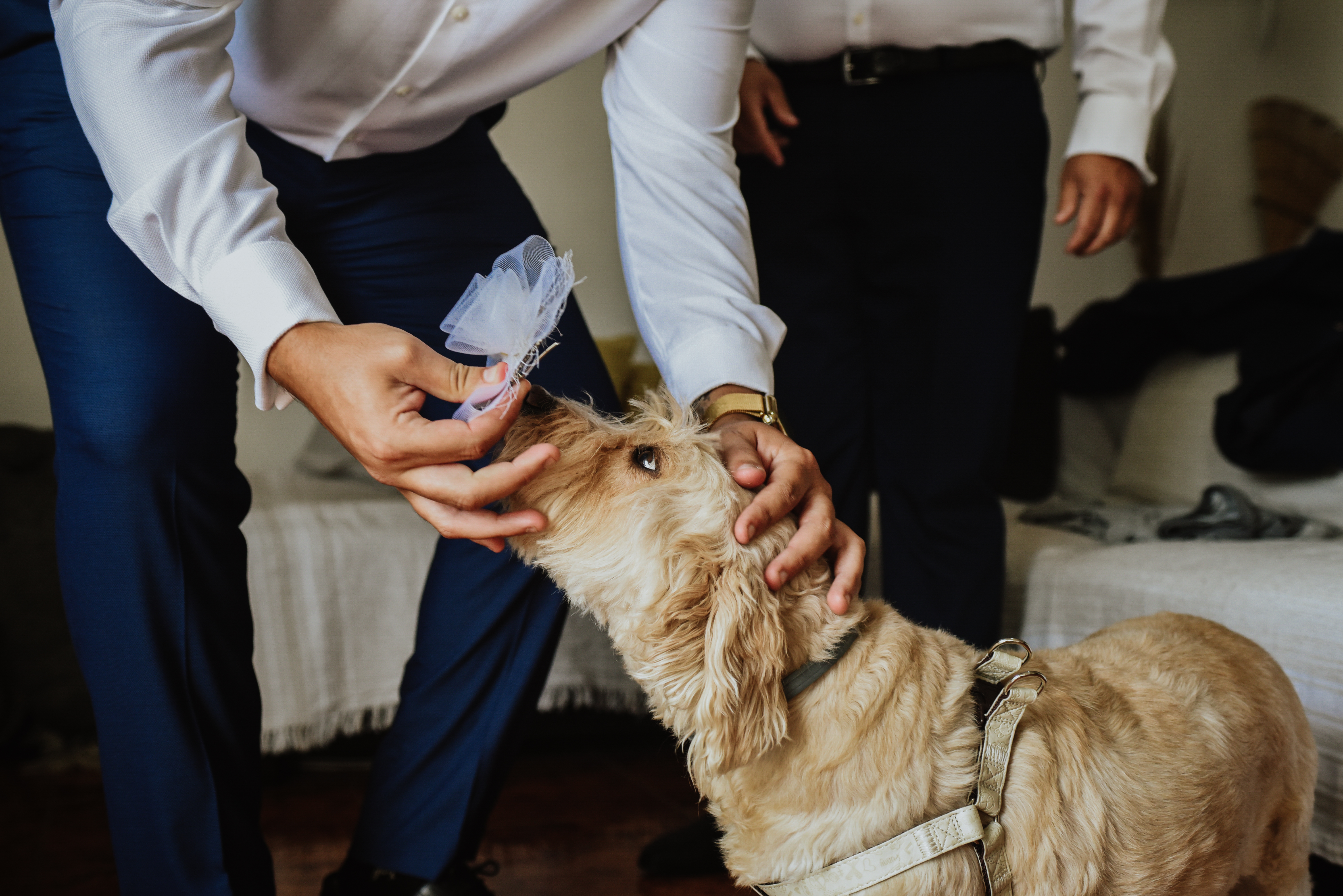 Waukivory Estate-2319636