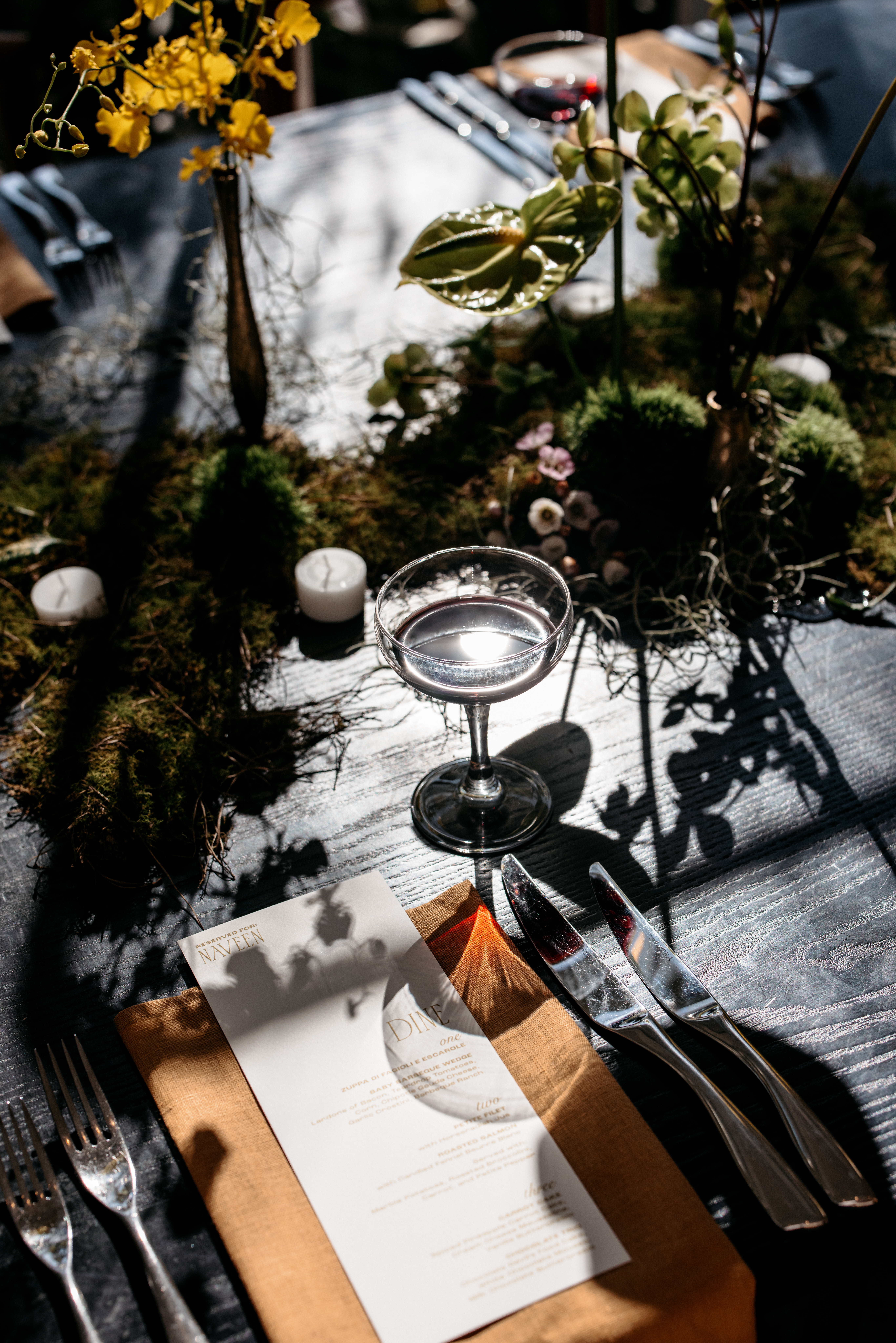 The Terrace Royal Botanic Gardens Melbourne-2347631