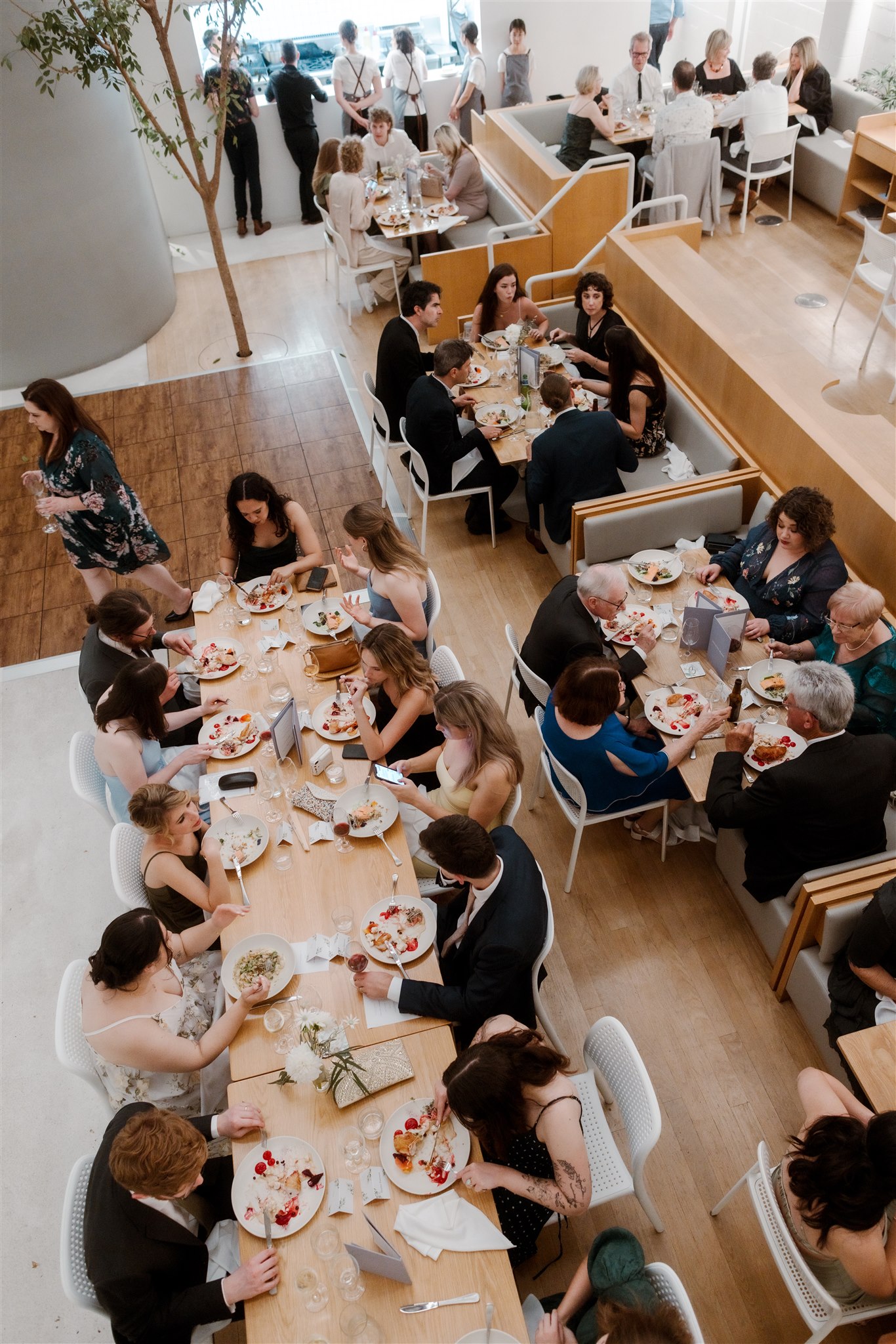 Industry Beans-2316382