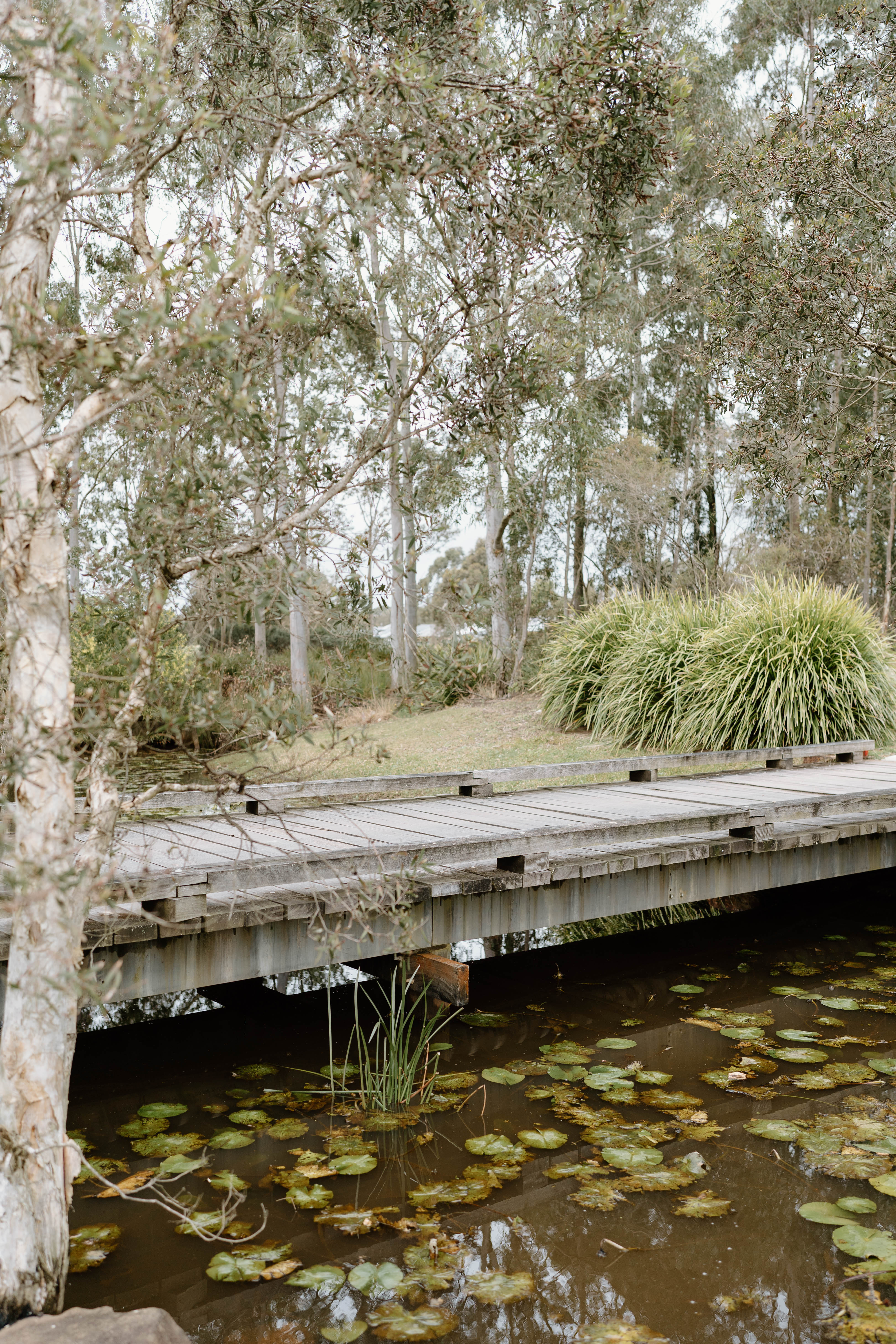 Pacific Dunes Greenhouse-2370629