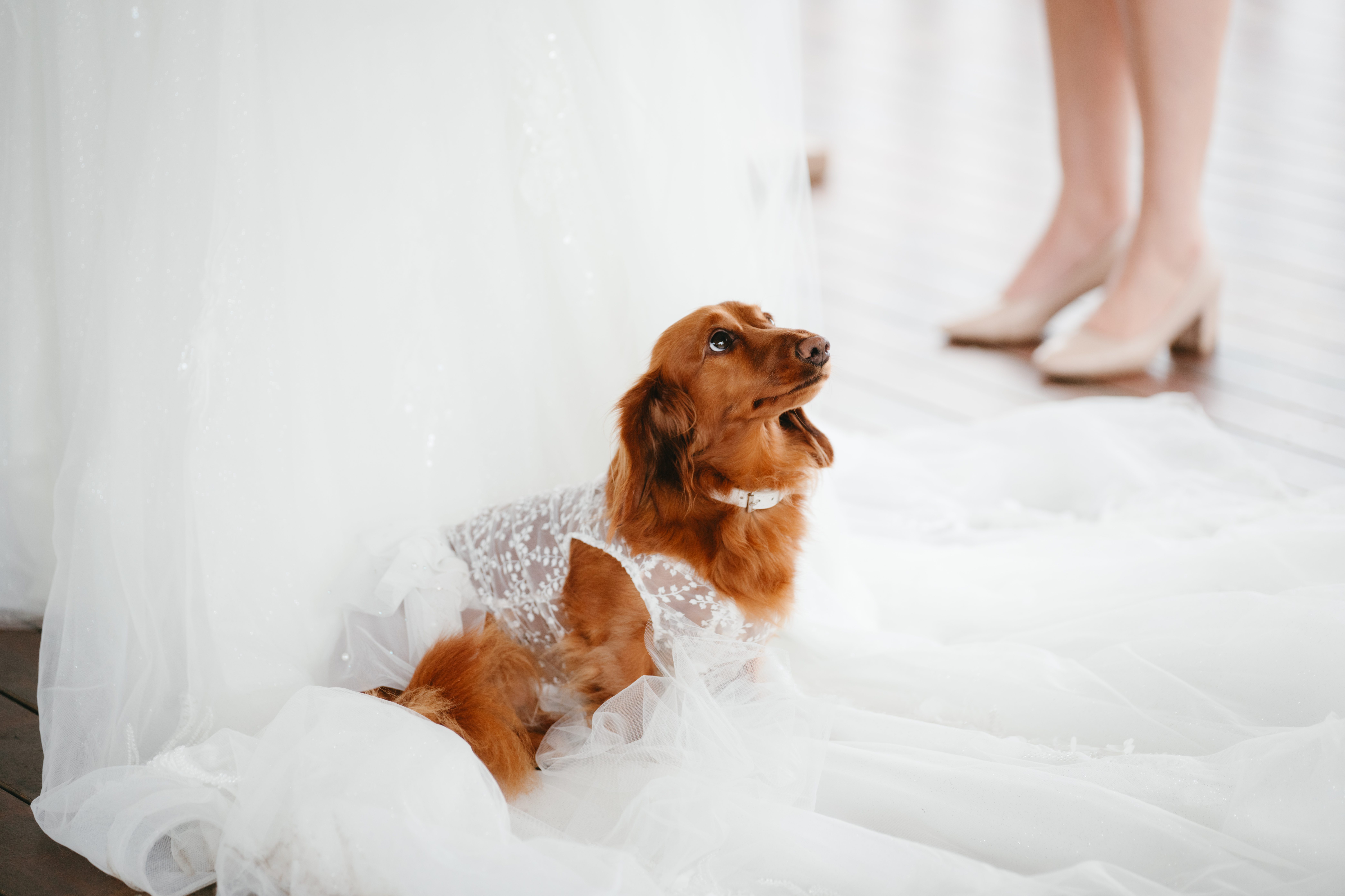 Ocean View Estates Winery & Restaurant-2486808