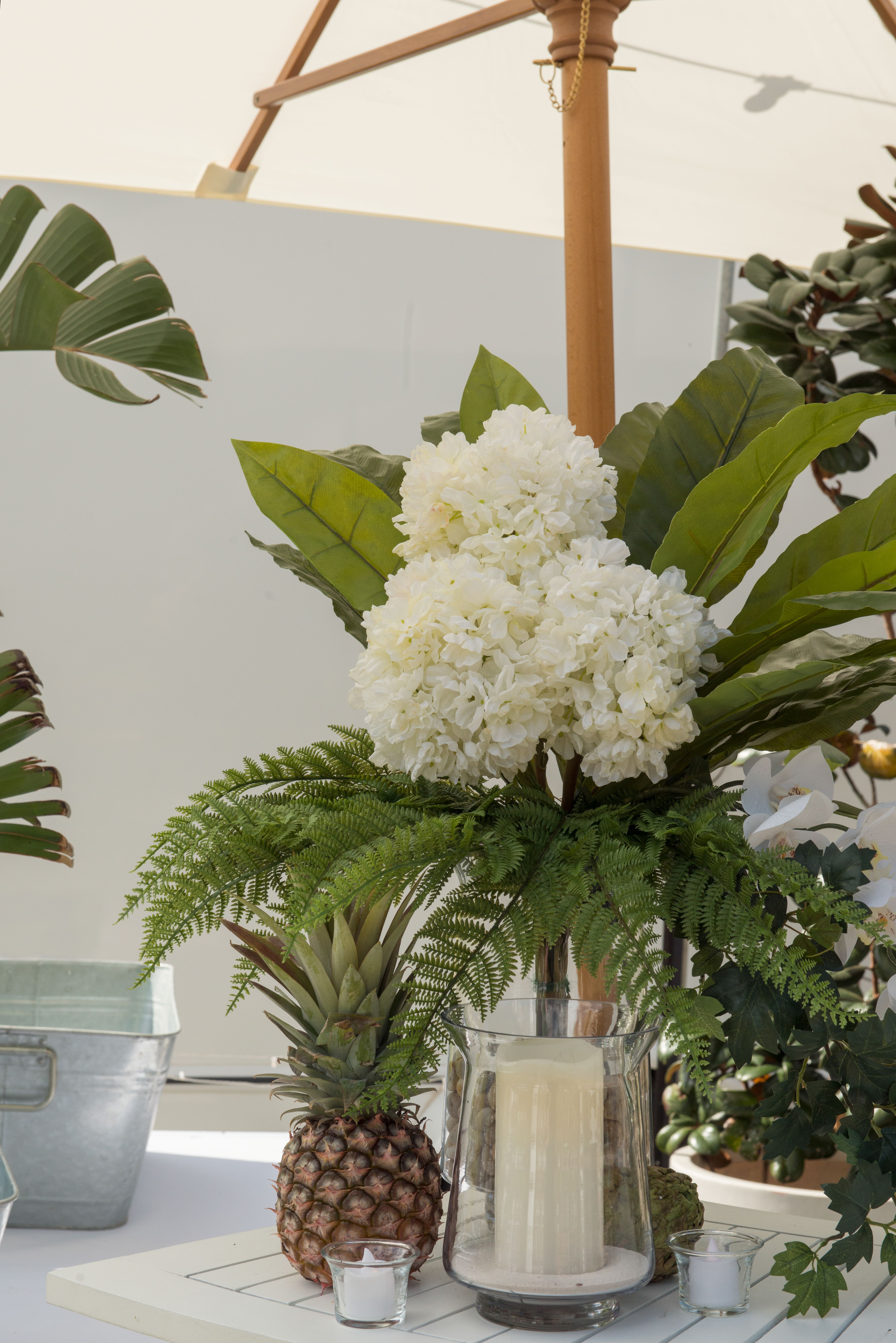 Colliston Farm-2463267