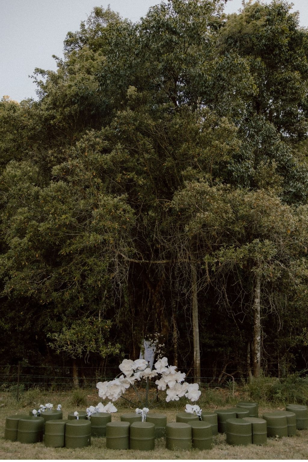 The Greenhouse Pavilion-2481290