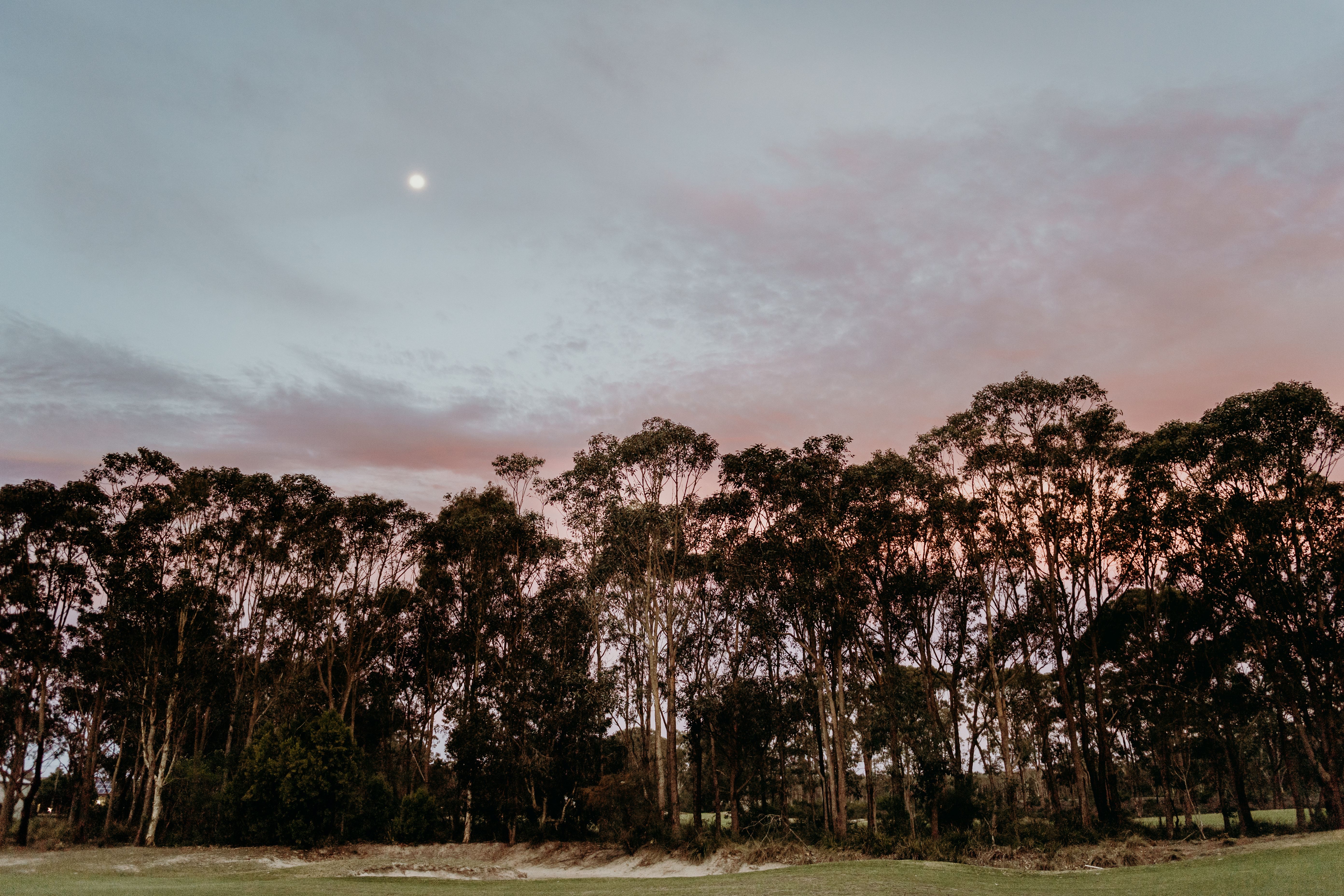 Pacific Dunes Greenhouse-2370631