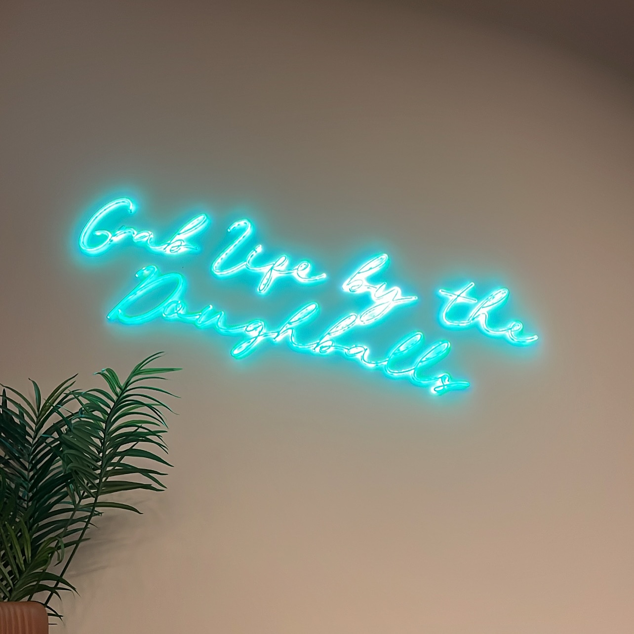 Doughballs the Pizza Place-2460645