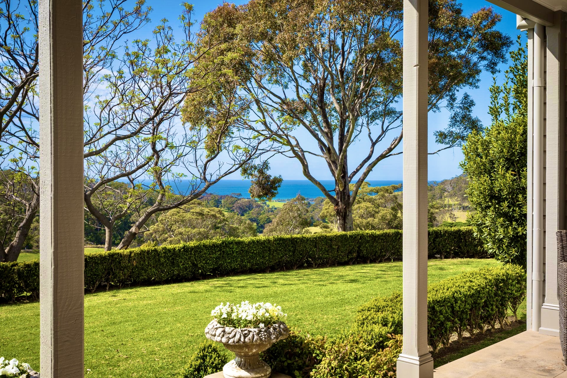 Fig Tree Park Weddings-2426346