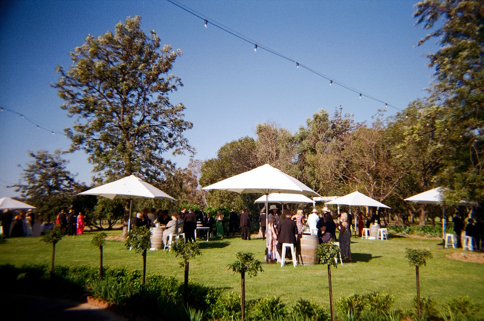 Rawson Park Homestead-2426101