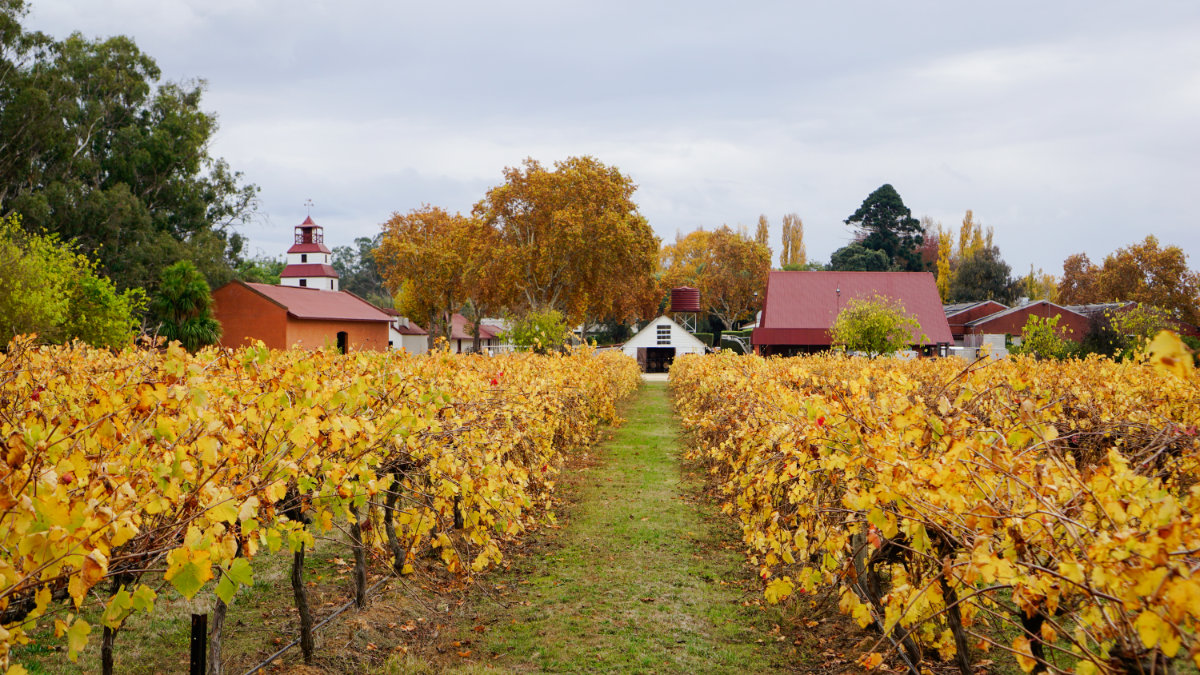 Tahbilk Estate Winery-2485770