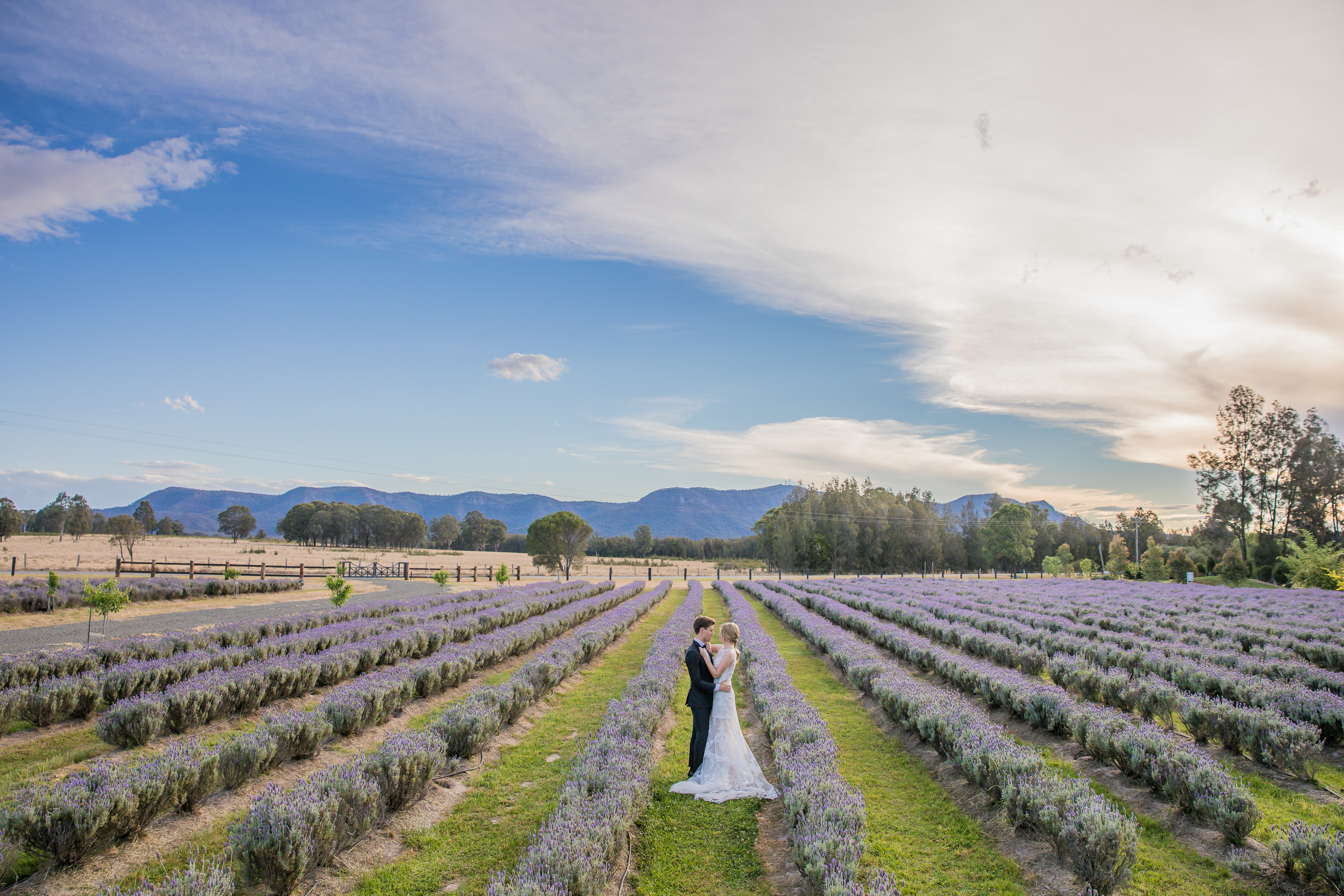 Azabu Group | Hunter’s Dream Estate