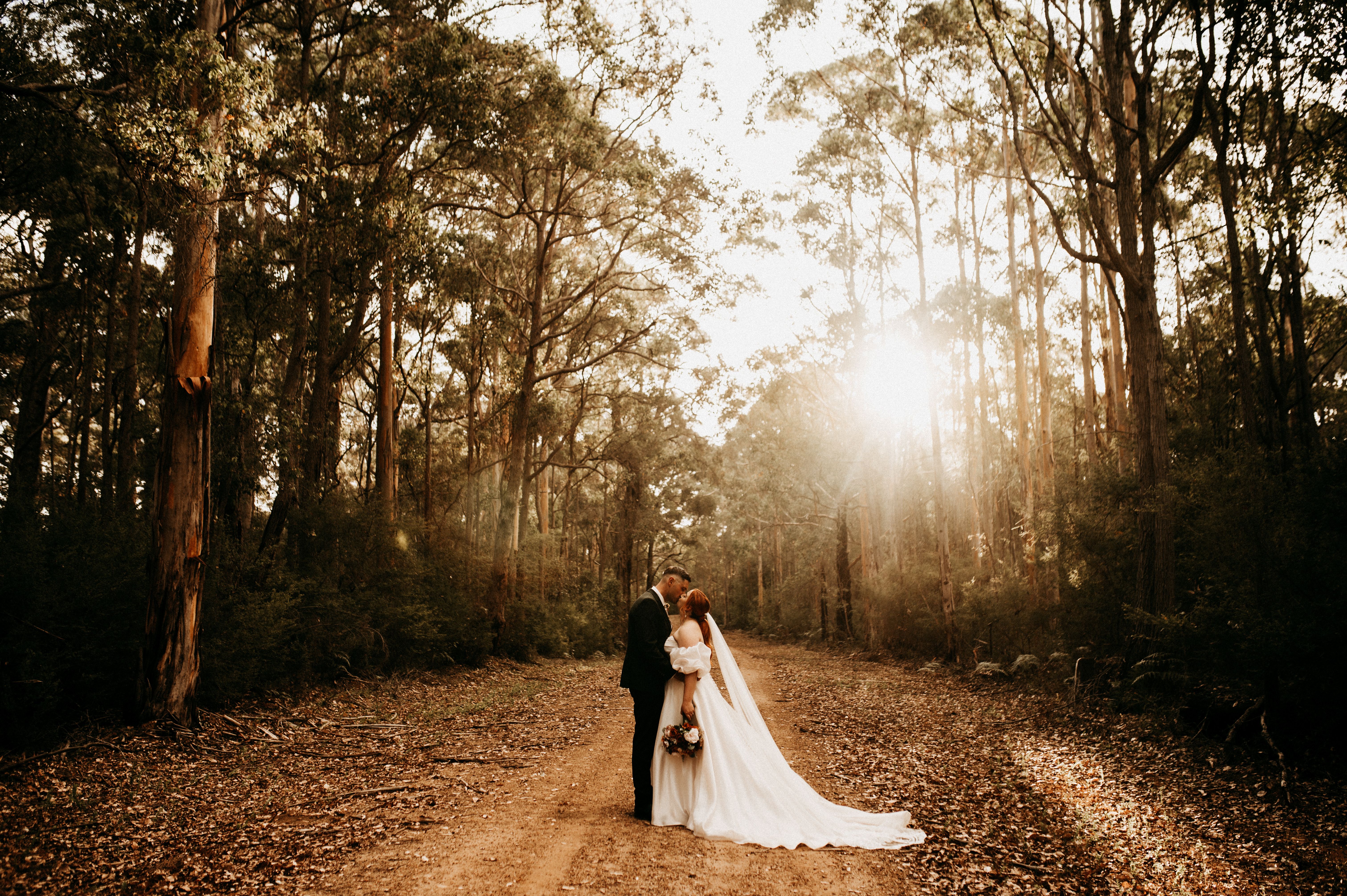 Wild and Free By Shan Lee