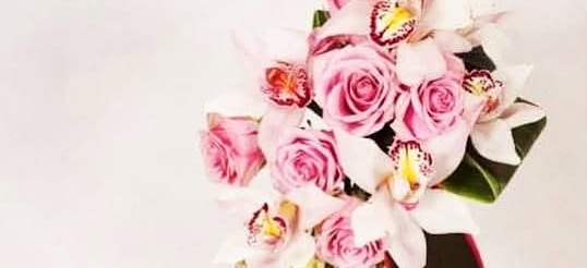 Leach Flowers