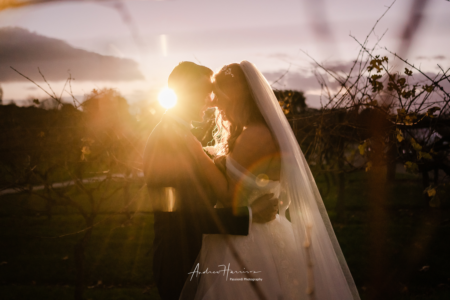 Passion8 Photography