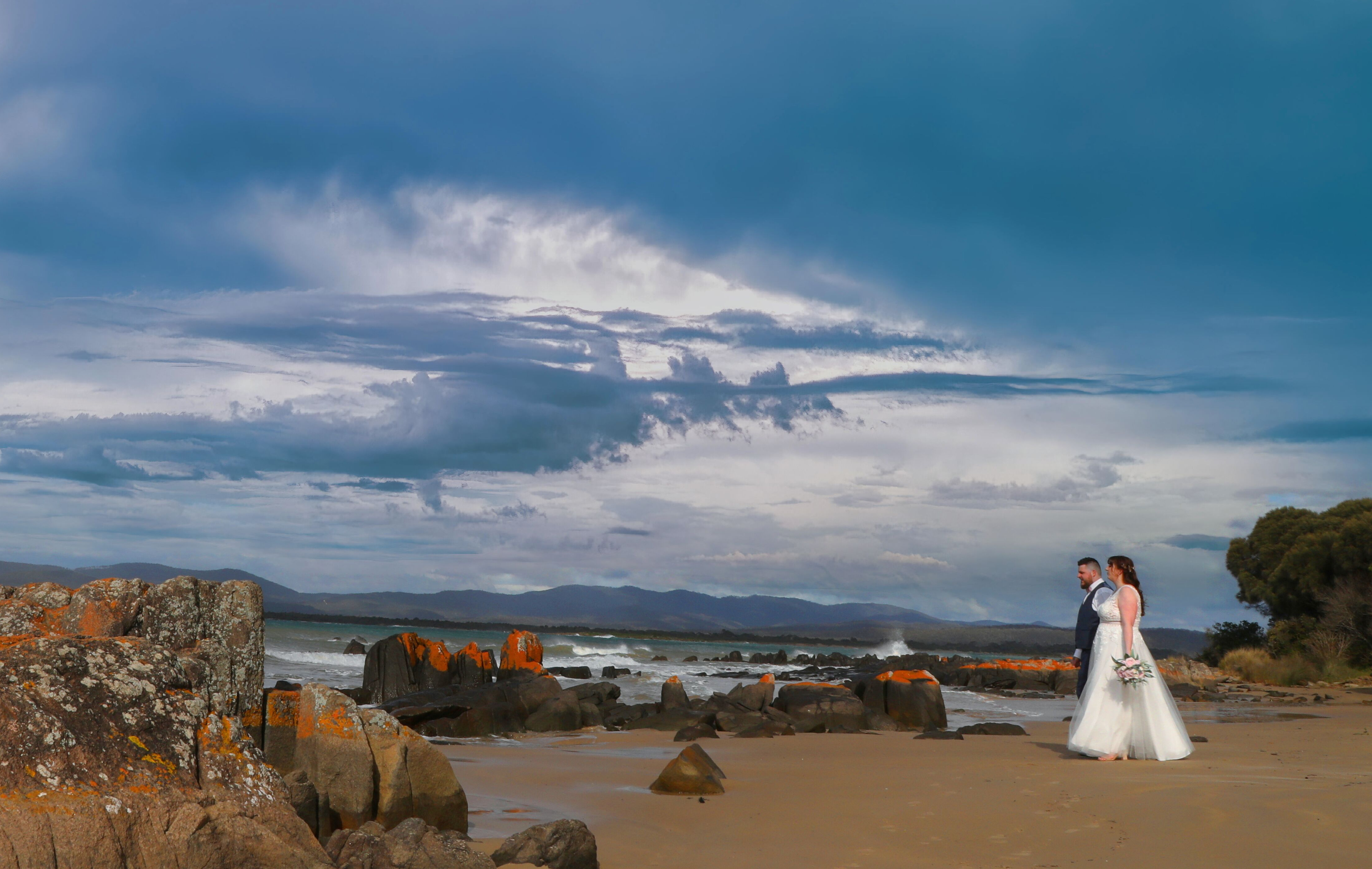 Linda Pasfield Photography