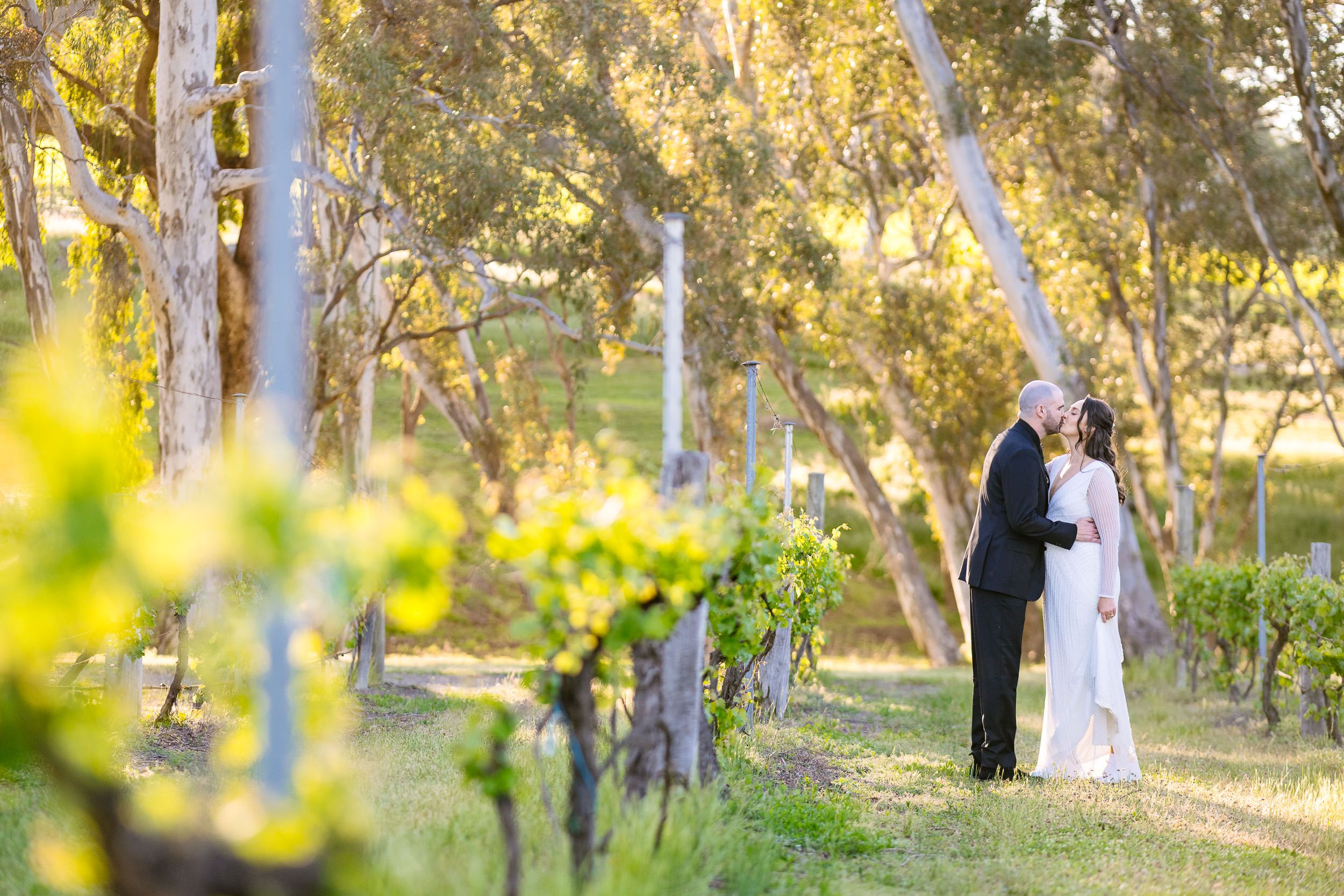 Harcourt Valley Vineyard