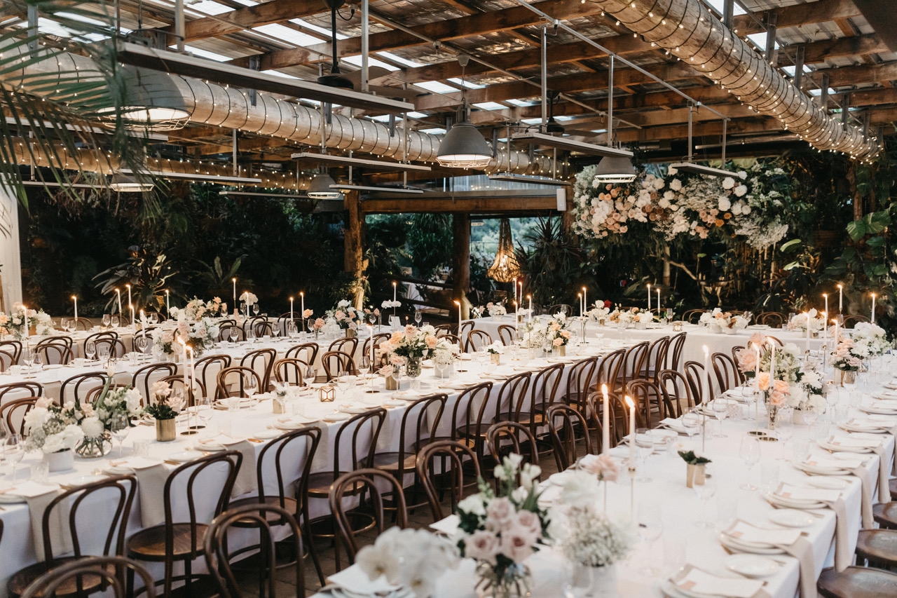 Fins at Plantation House-1816866