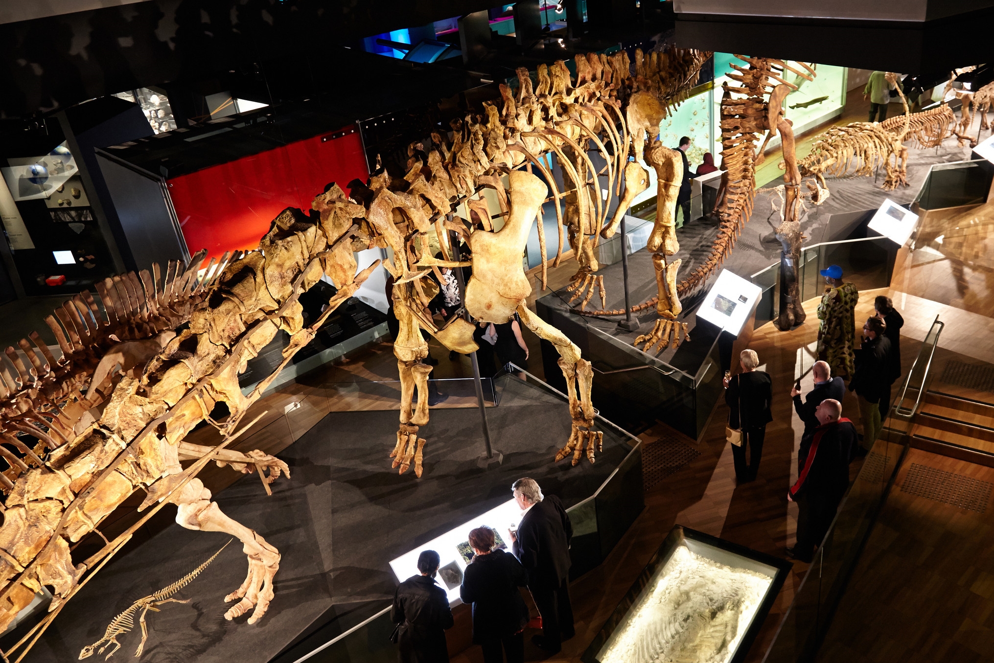 Melbourne Museum-1157085