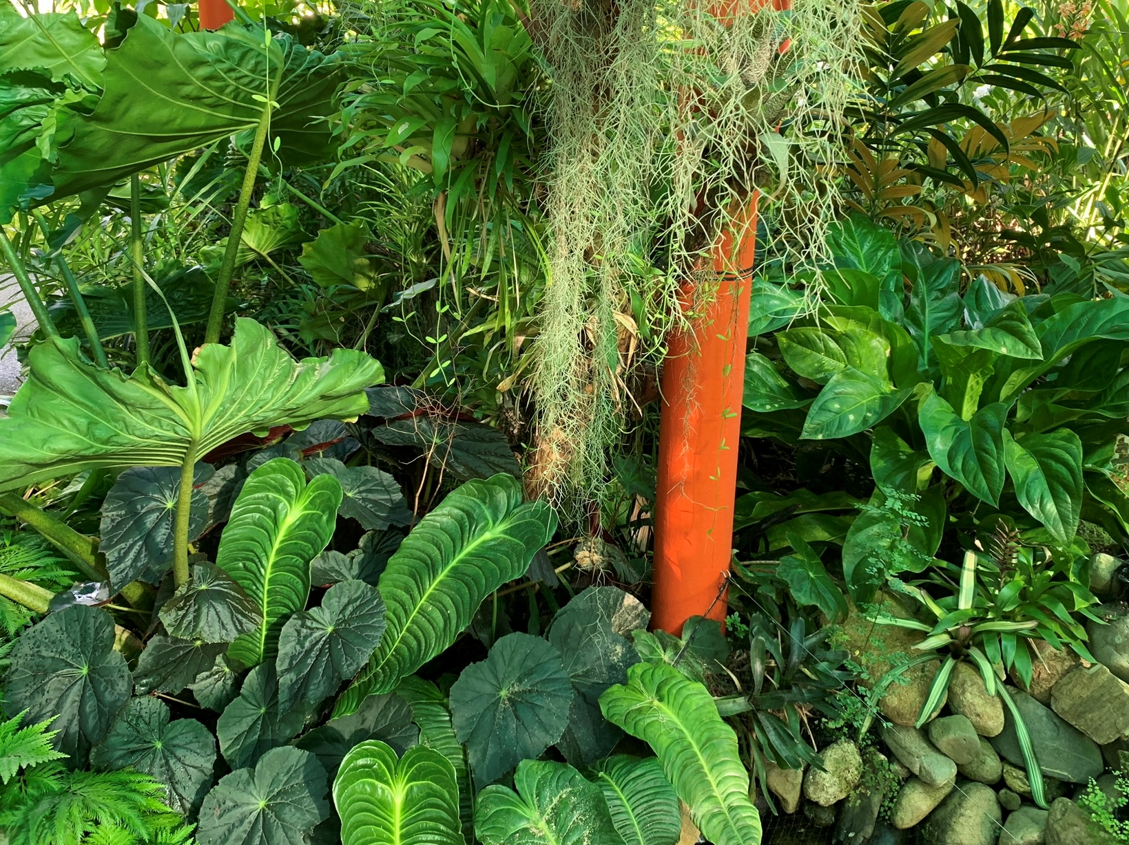 Mulgrave Gardens-2053615