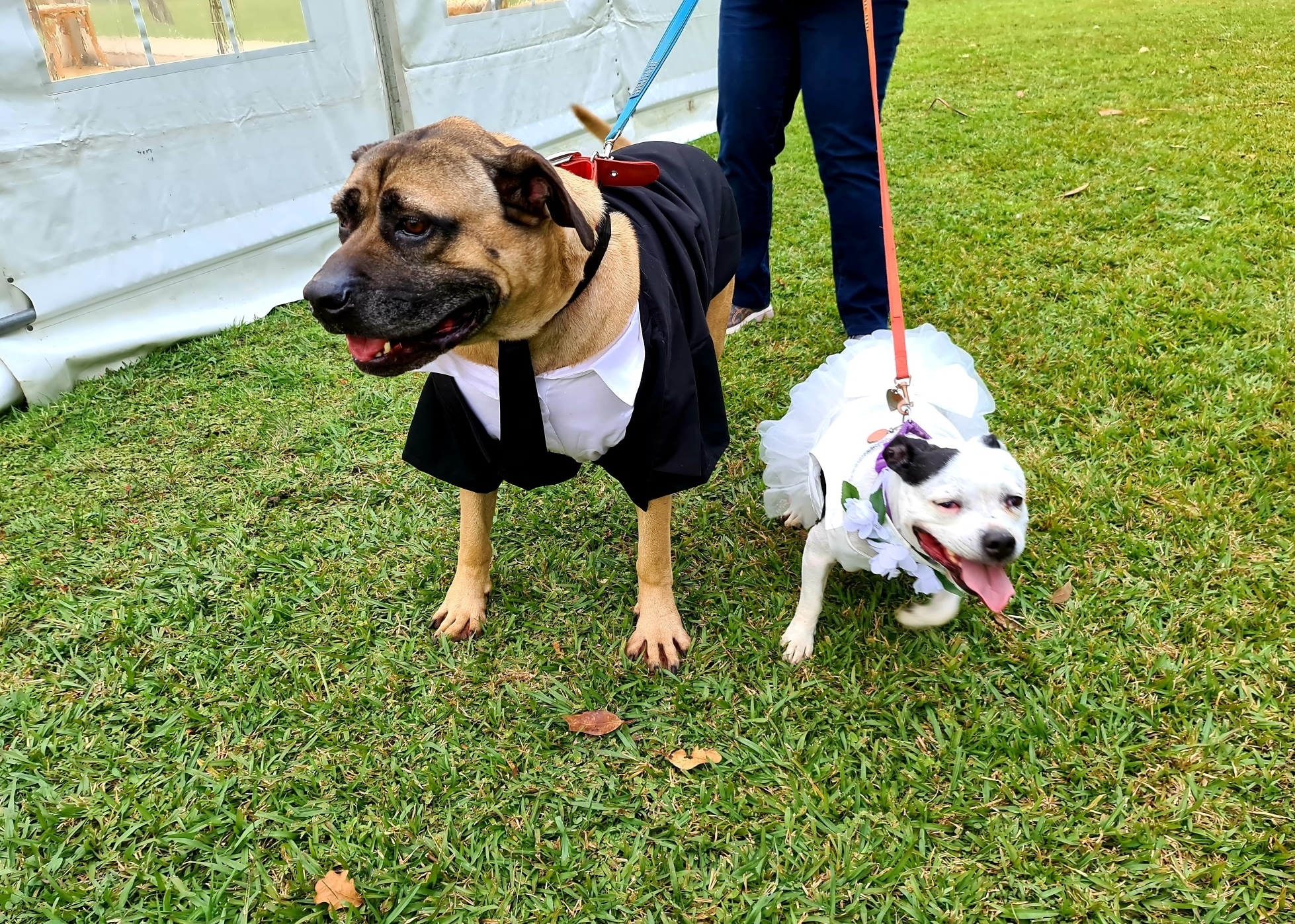 Our Secret Garden-1963546