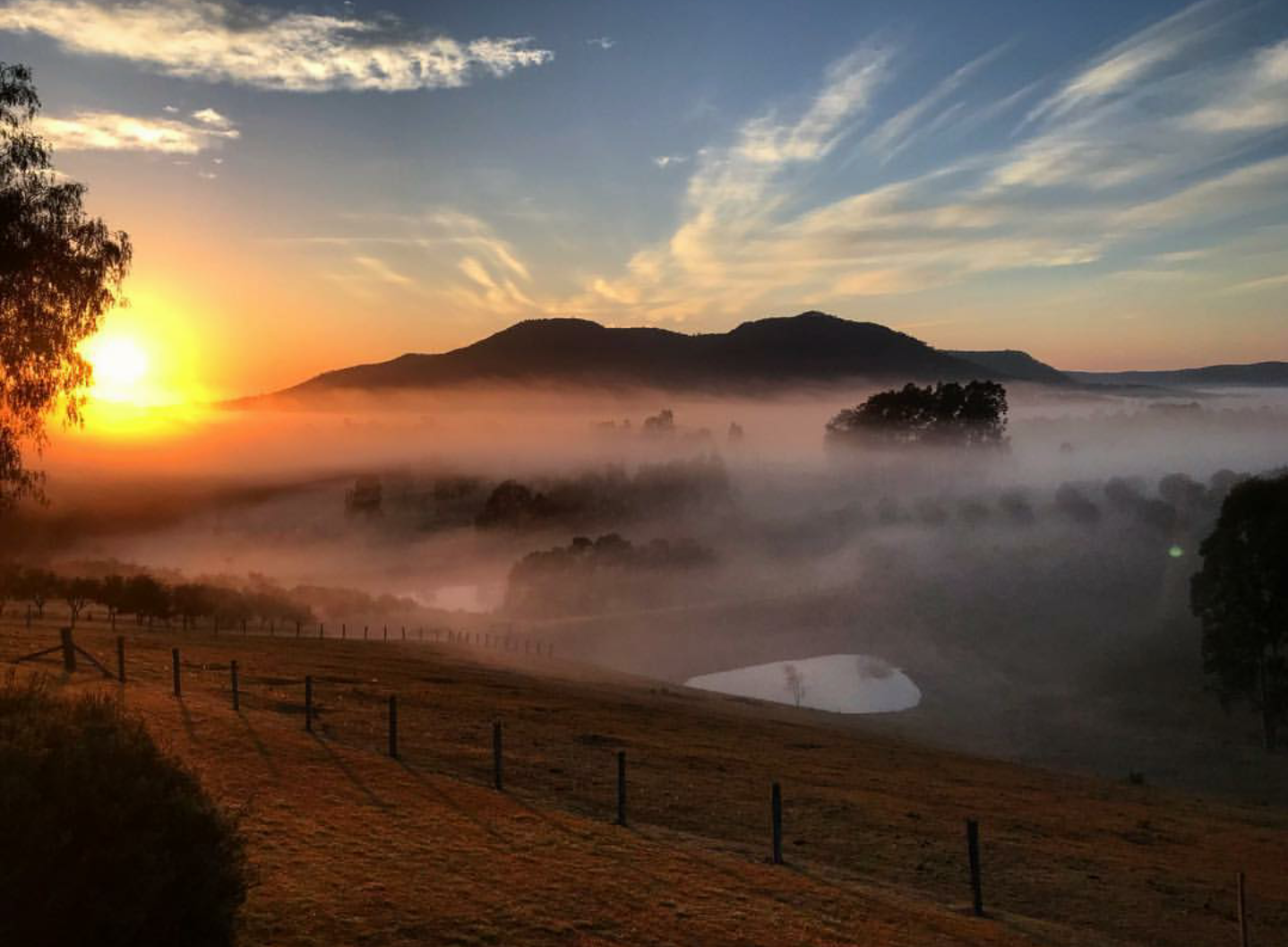 Lonely Goat Olives-1458708