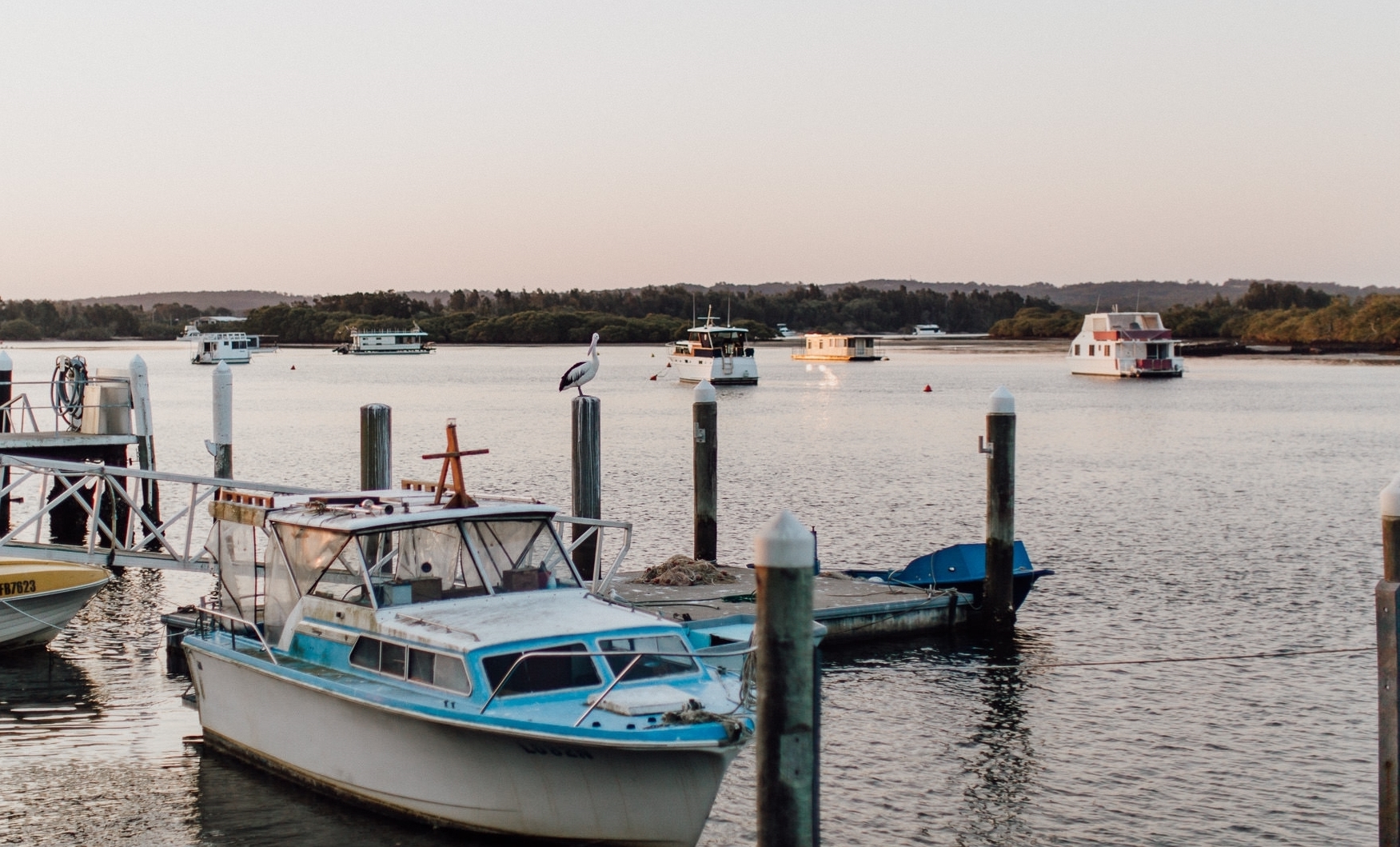 Mumms on the Myall-1314491