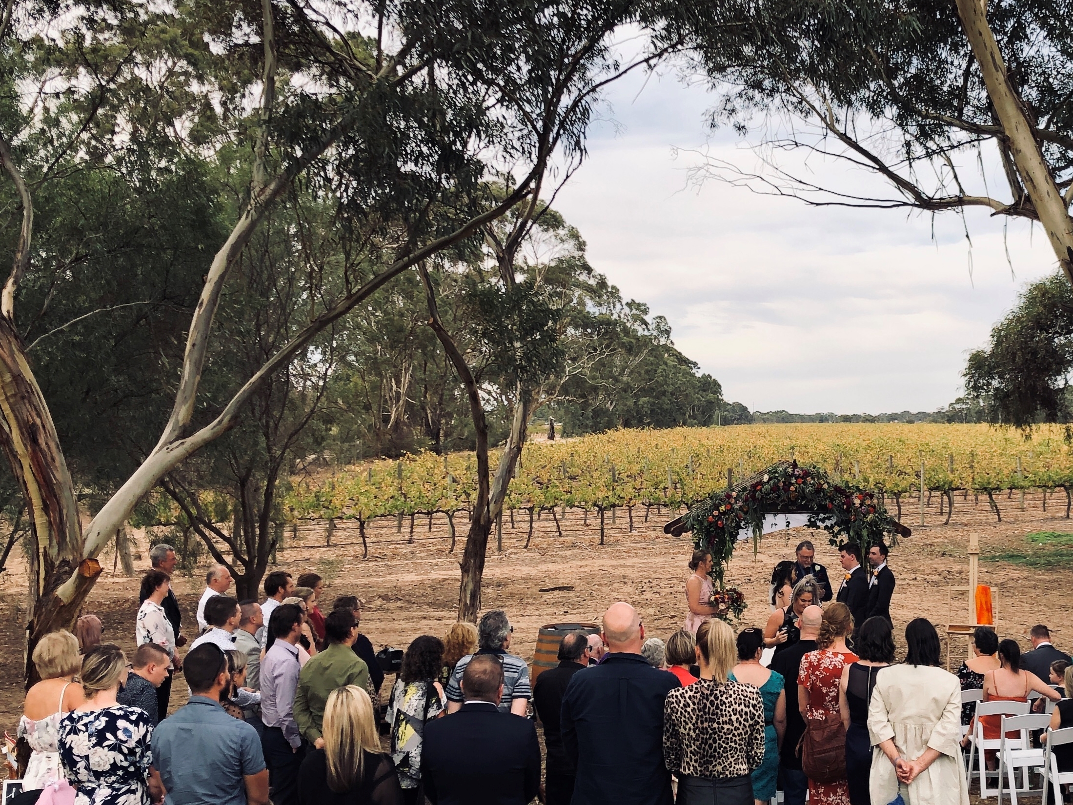 Lindsay Wine Estate-1855531