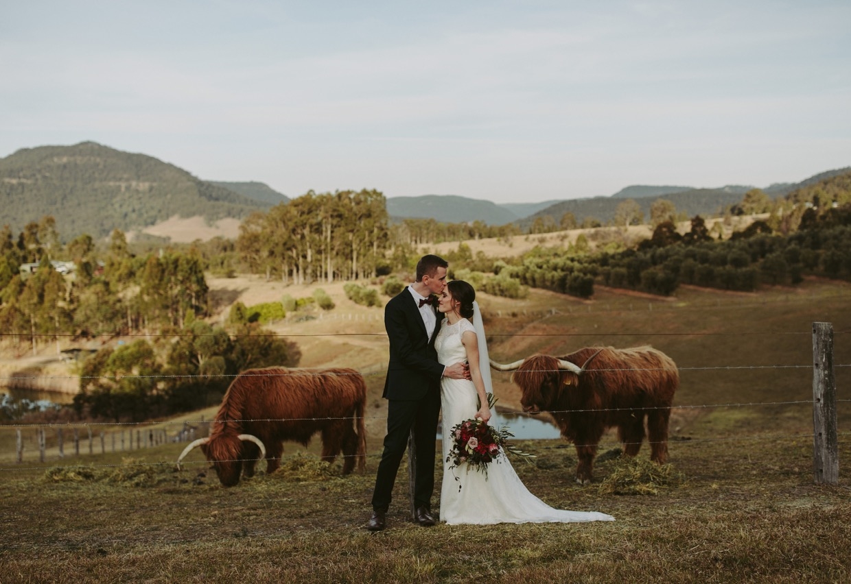 Lonely Goat Olives-1458704