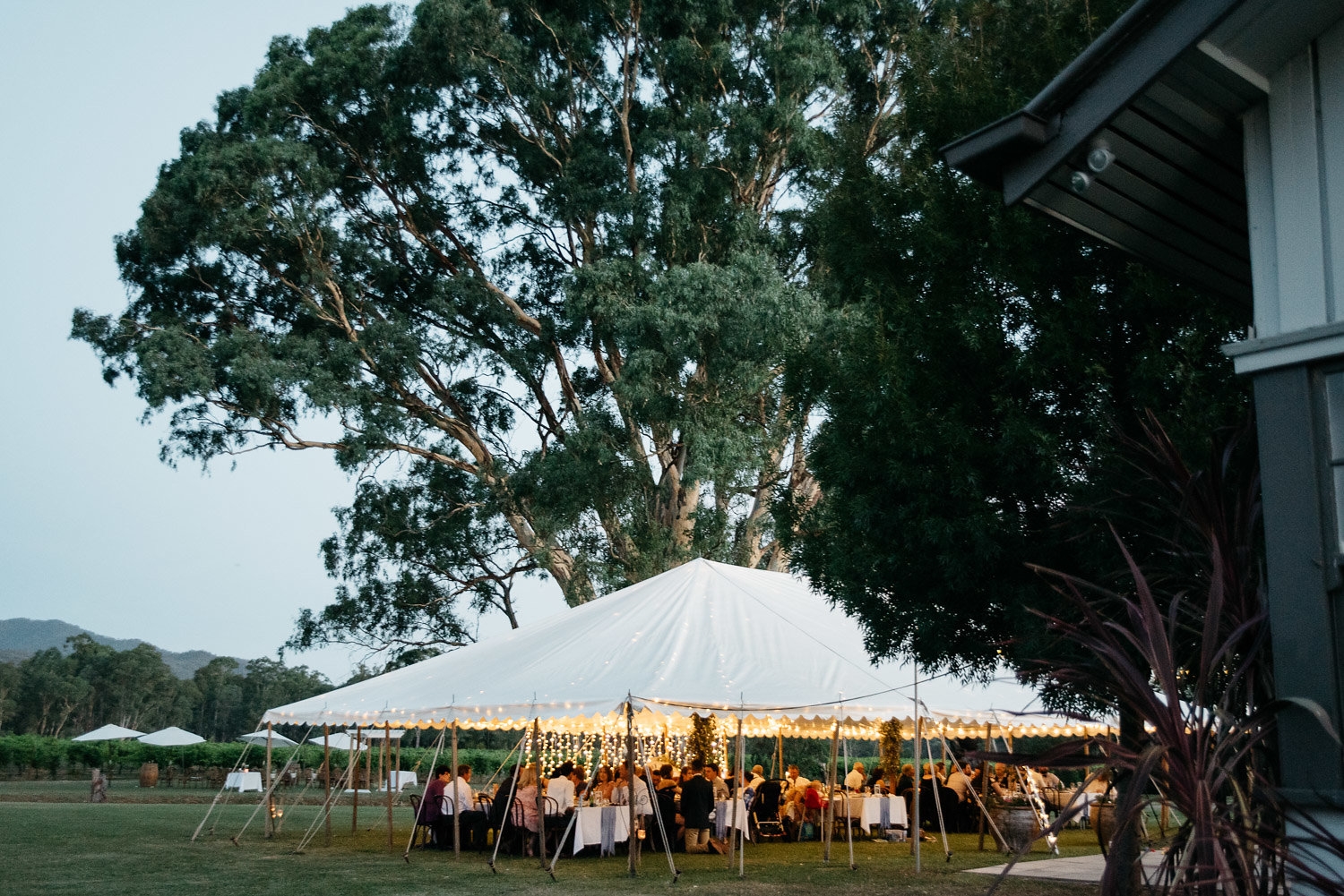 Dal Zotto Wines-1565005