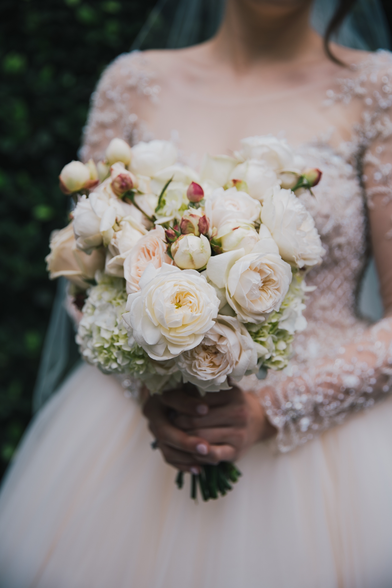 Fenix Events-1858925