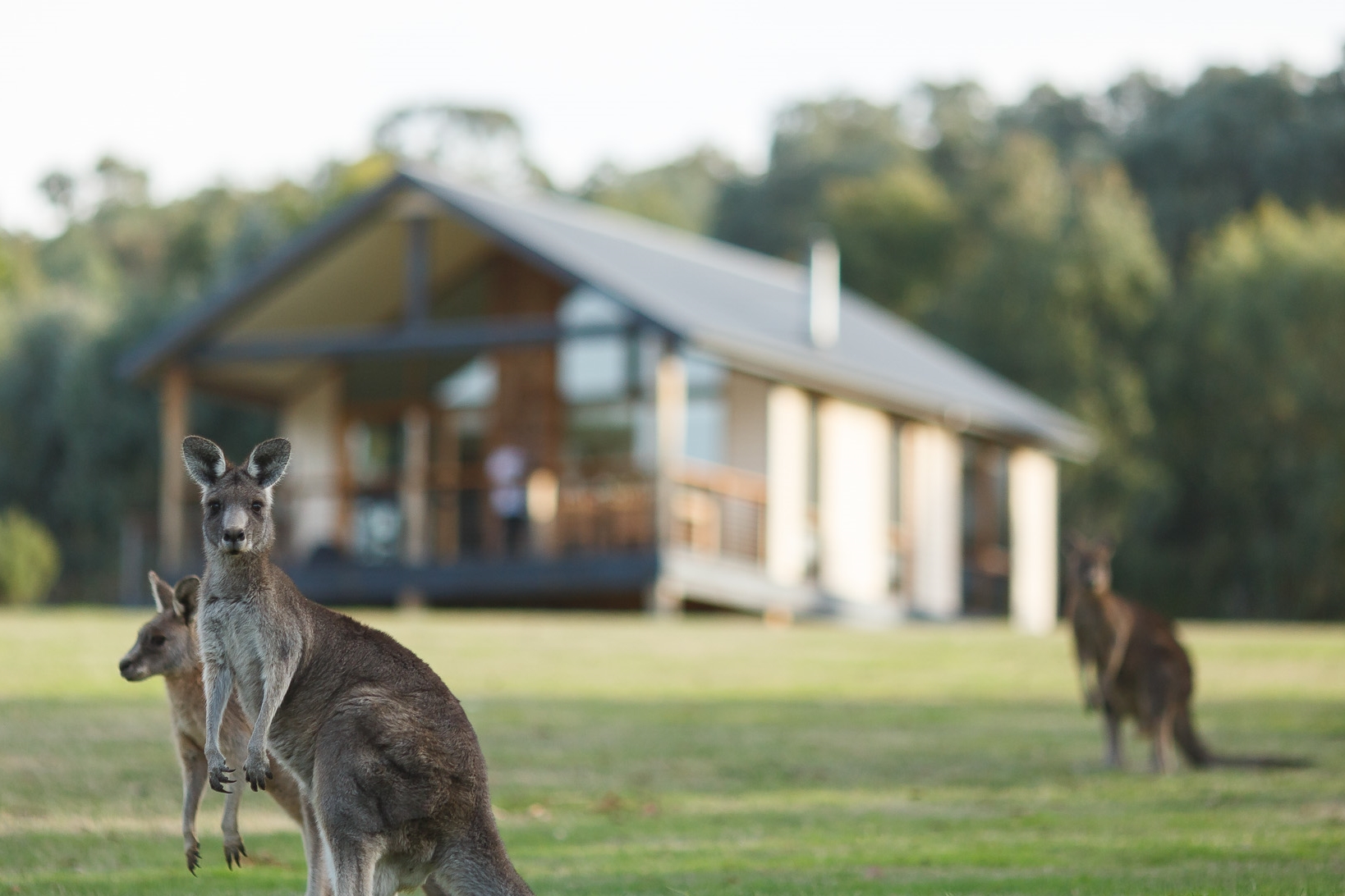 The Eastern Golf Club & Yering Gorge Cottages-1151232