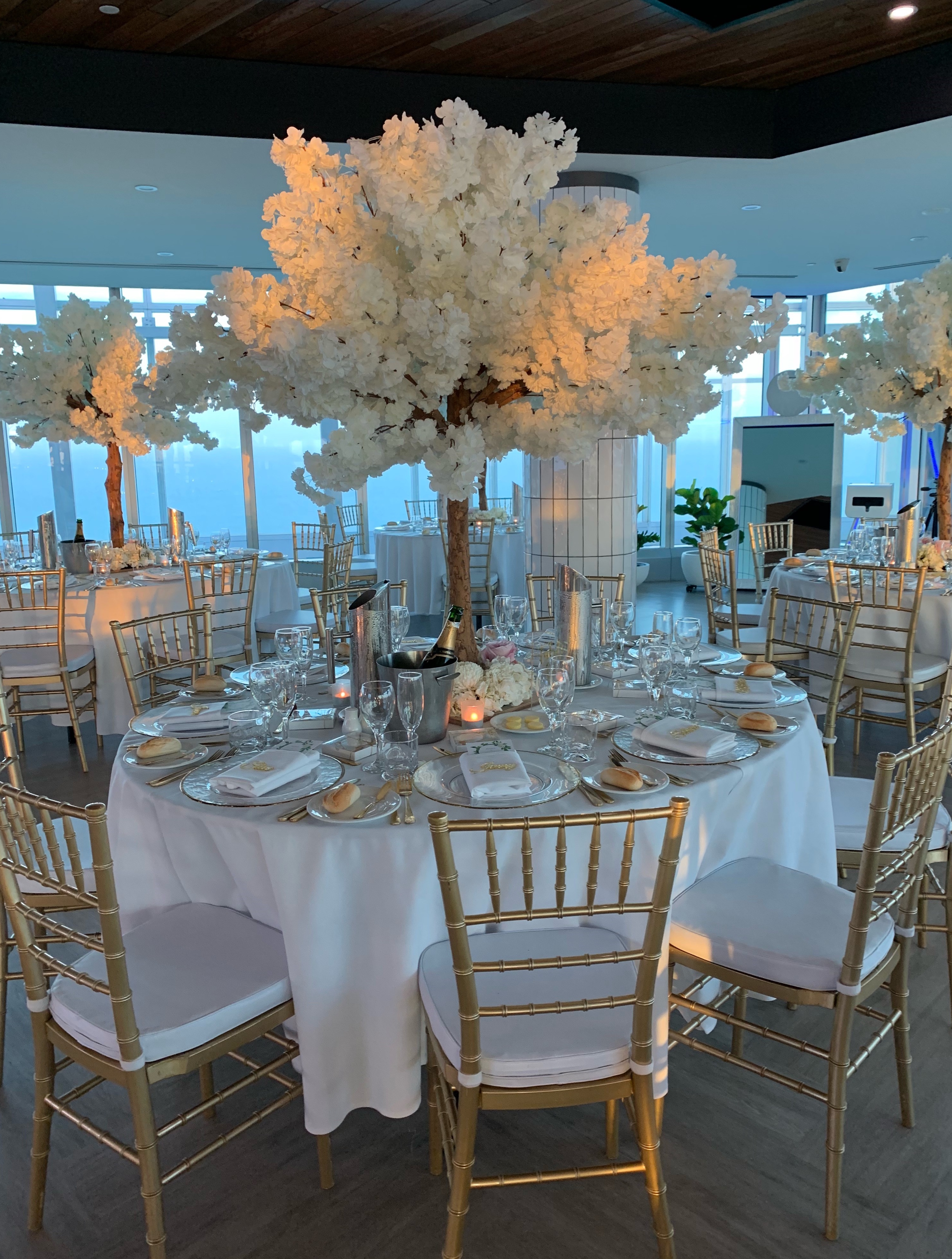 SkyPoint Observation Deck-1558147