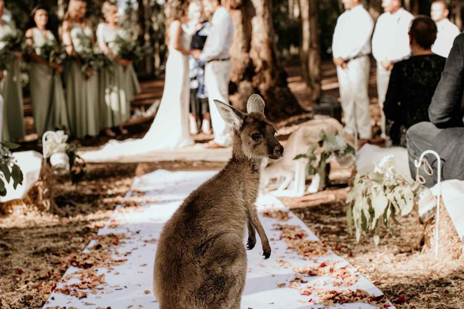 Donnelly River Village-1941206