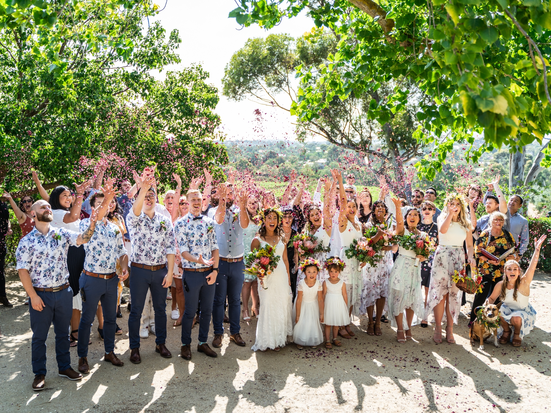 Goona Warra Vineyard-1916584