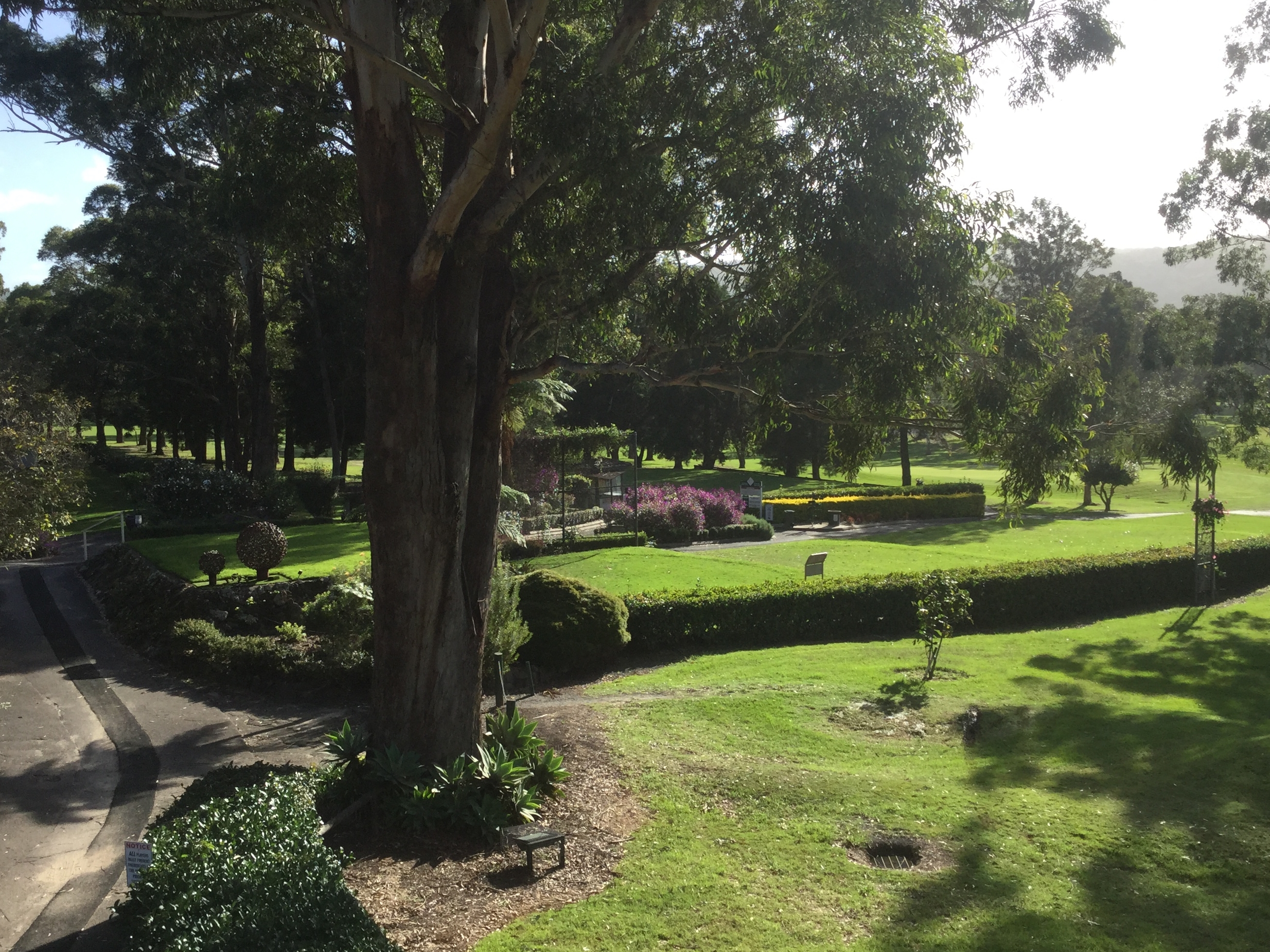 Gosford Golf Club Ltd-1445154