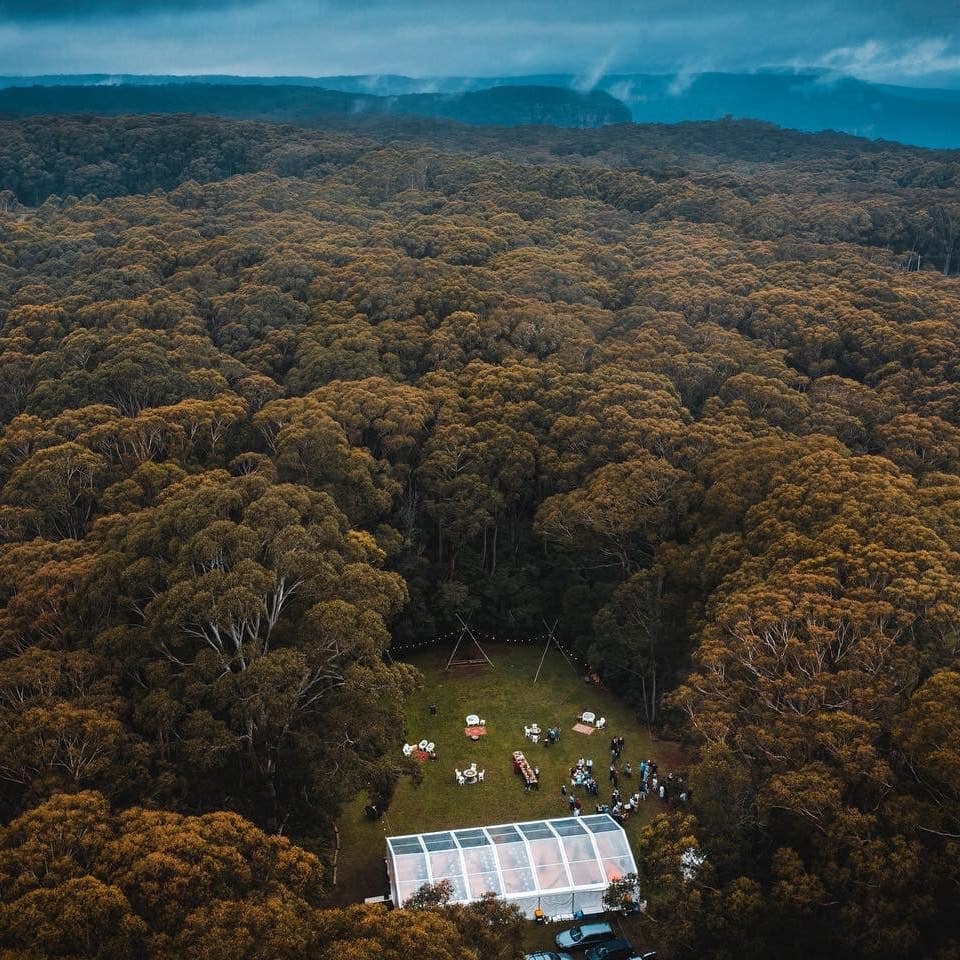 Weddings in the Wilde-1996746