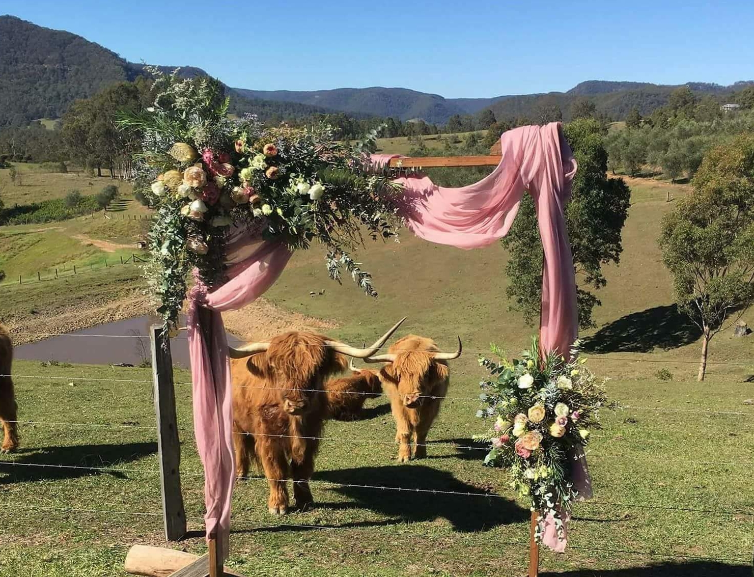 Lonely Goat Olives-1458701