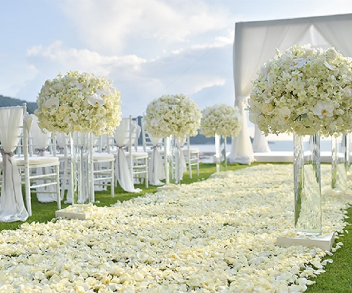 Vivah Wedding and Reception Venue-1159233