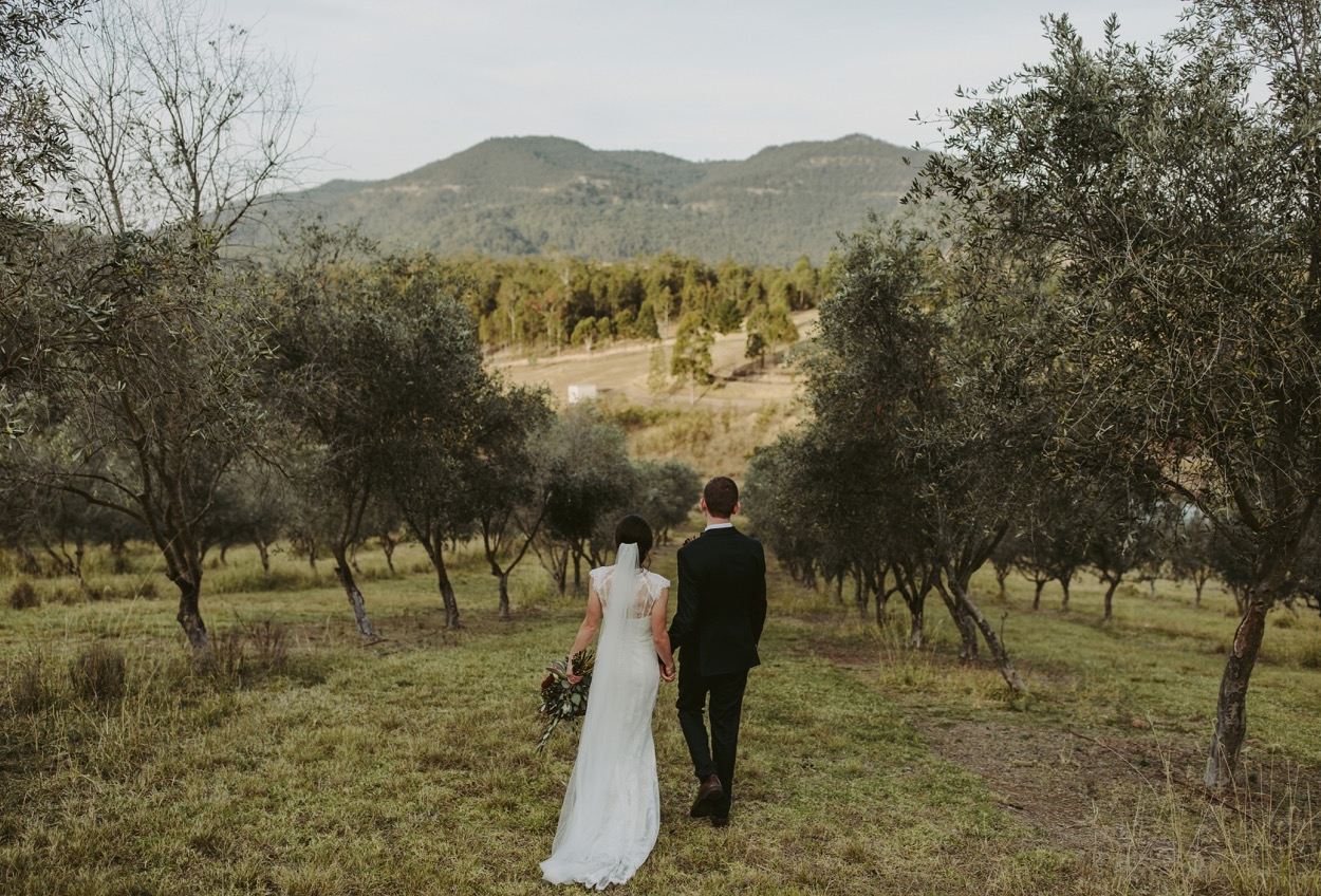 Lonely Goat Olives-1458705