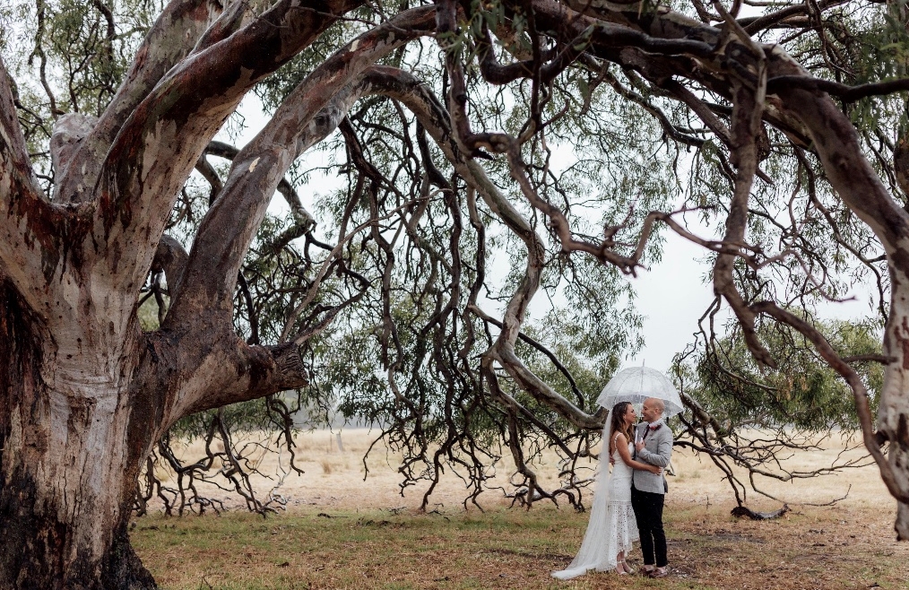 Rocklea Farm-1943483