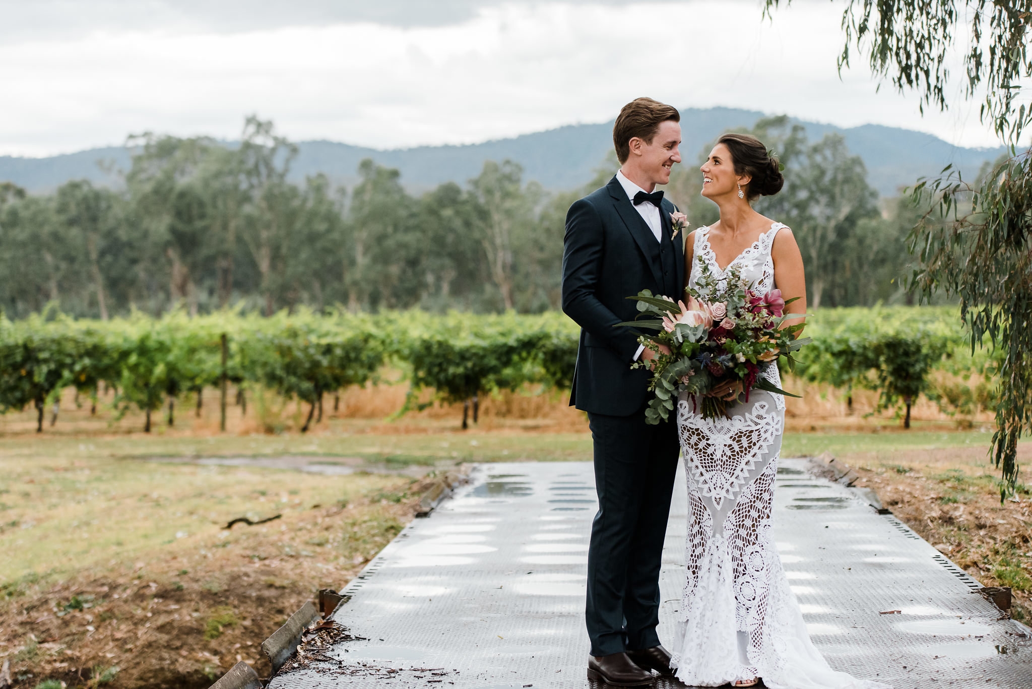 Dal Zotto Wines-1320539