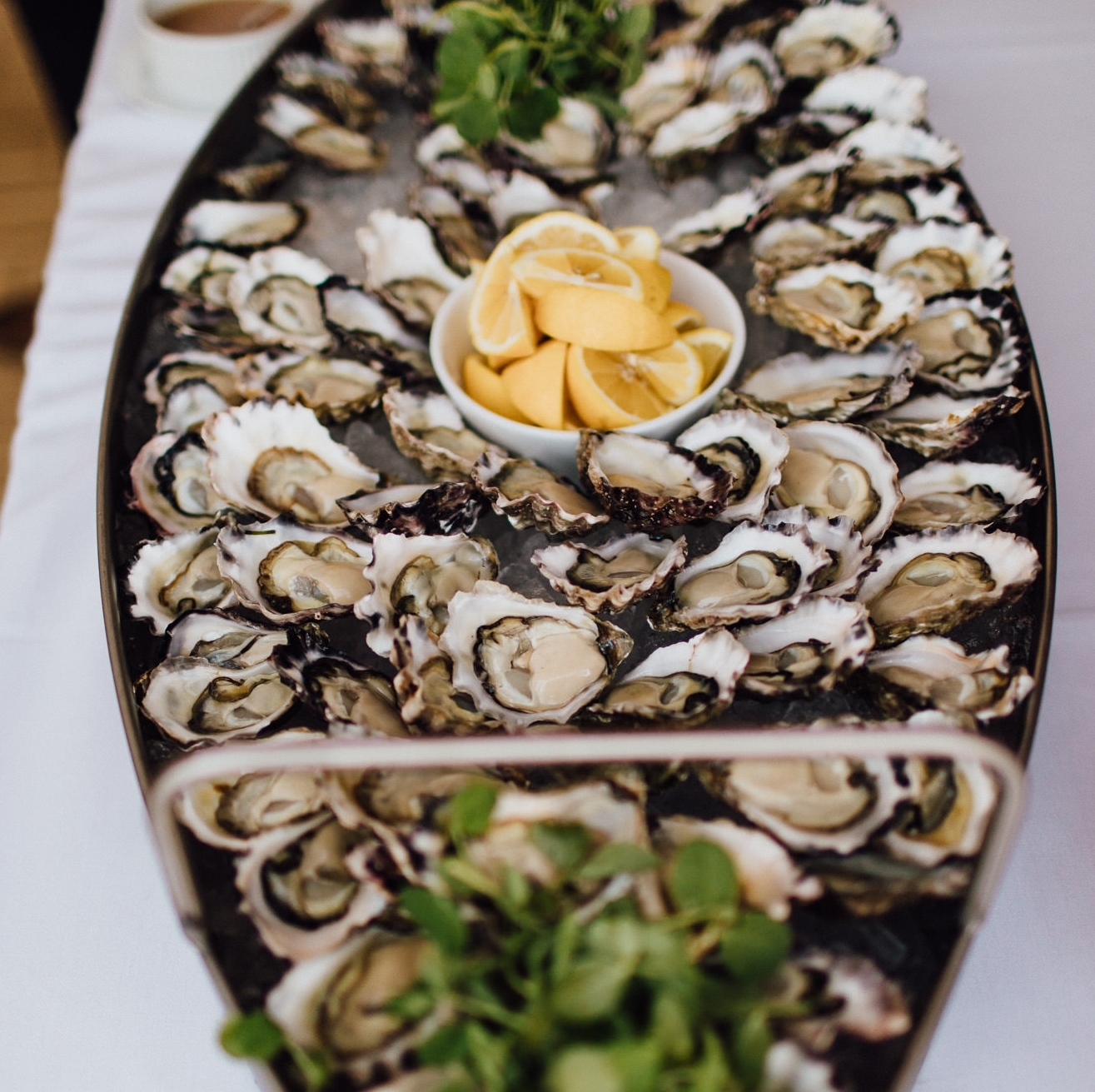 Mumms on the Myall-1314492