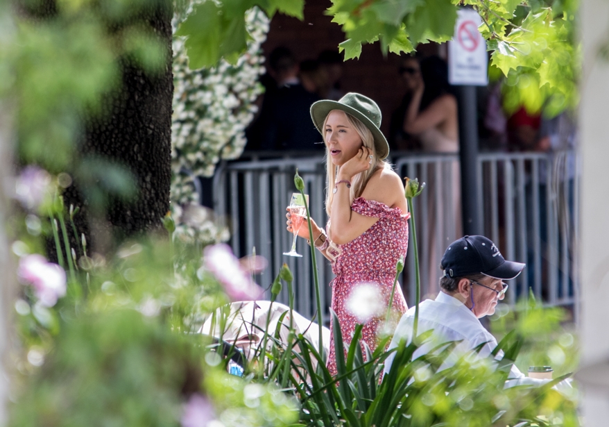 Muswellbrook Race Club-1682811