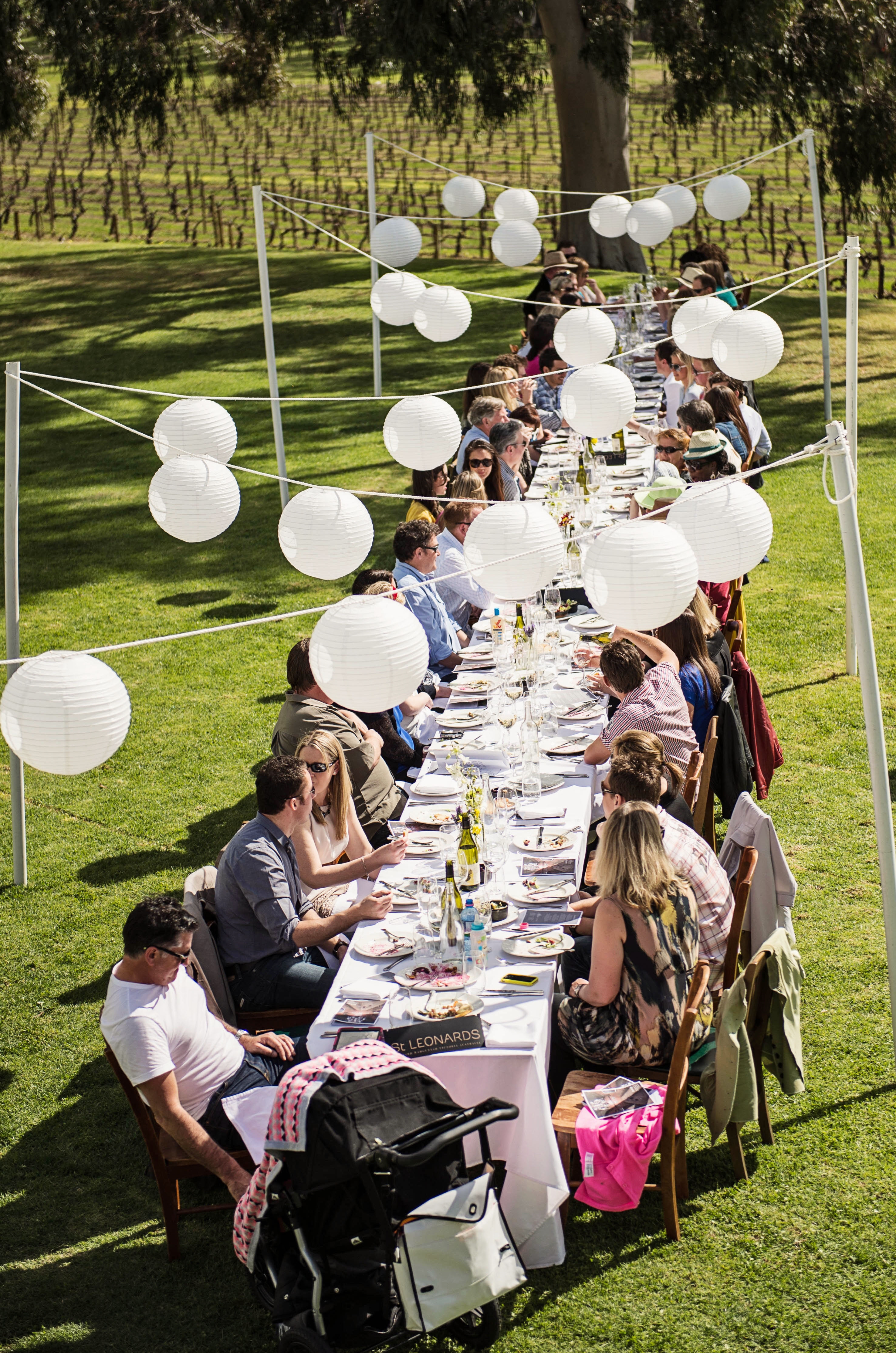 St Leonards Vineyard-1227873