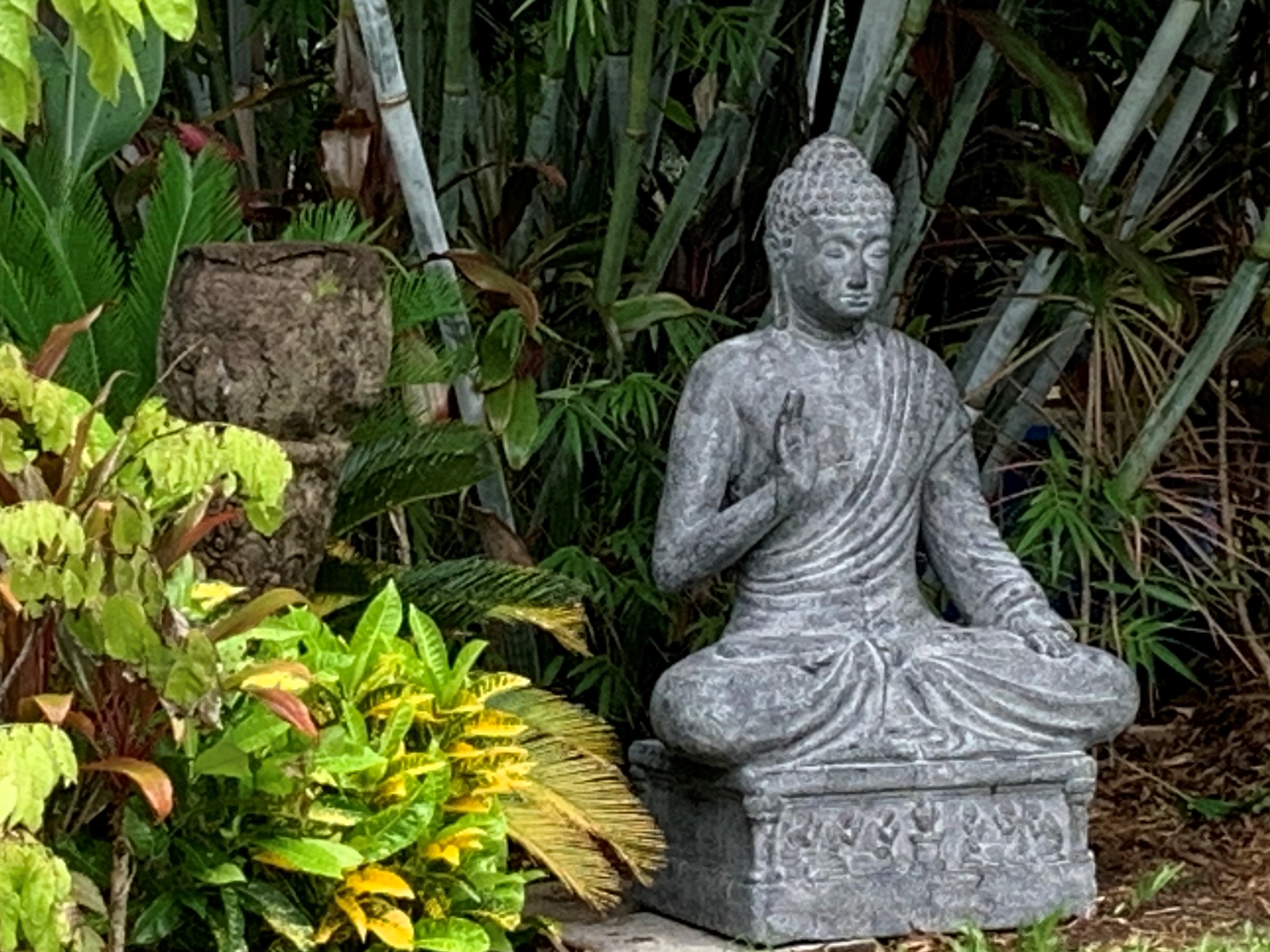 Mulgrave Gardens-2053618