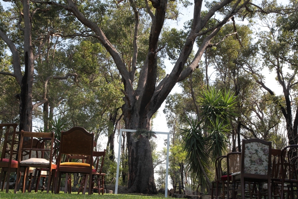 Rothwood Homestays-1254775