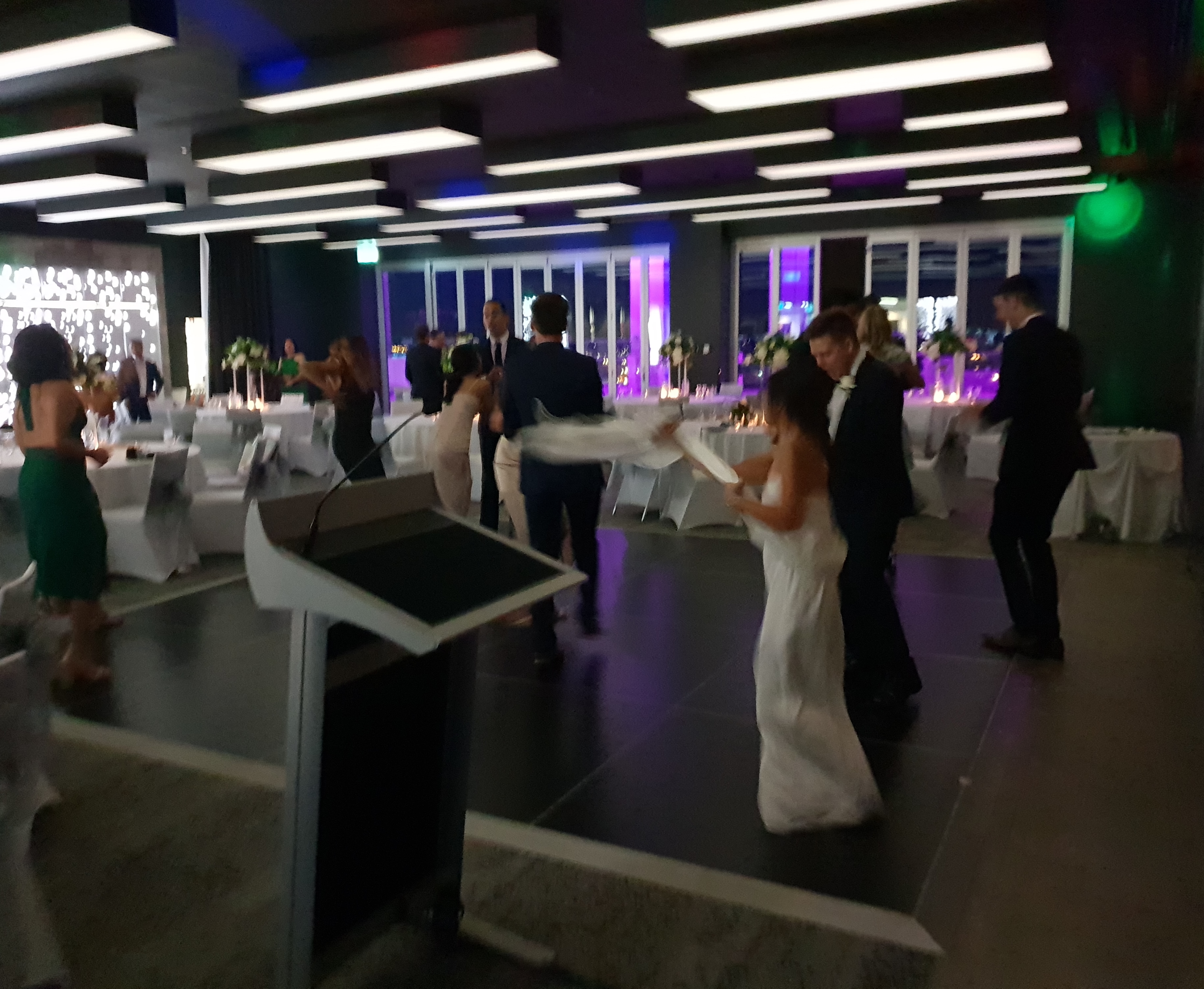 Southern Vibes DJ & MC Service